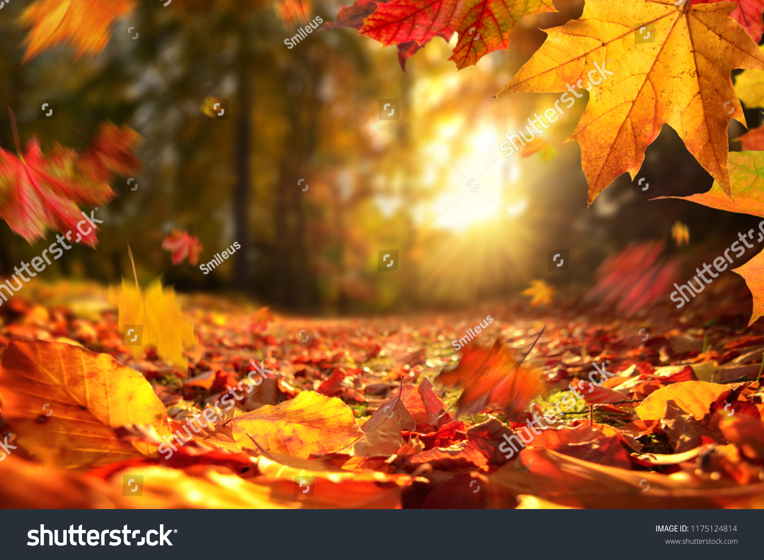 772680 Falls Scene Images Stock Photos And Vectors Shutterstock
