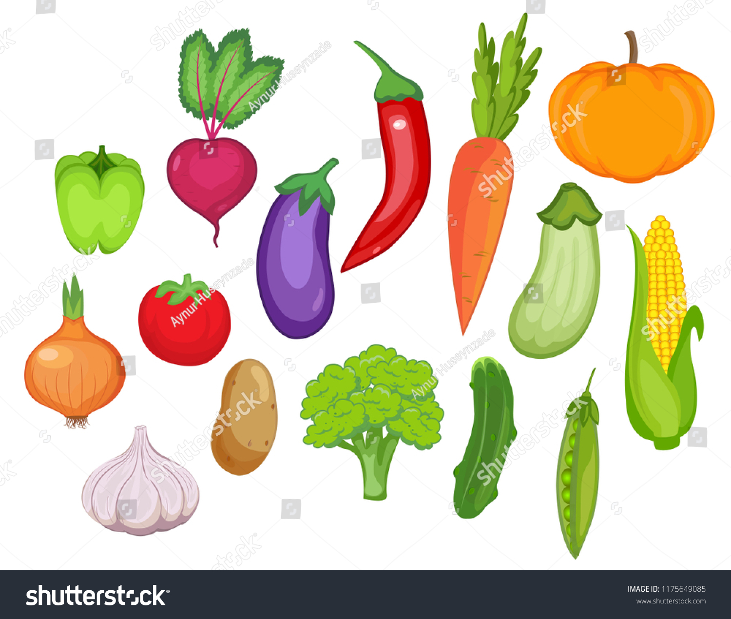 Vegetable Set Vector Illustration Stock Vector Royalty Free