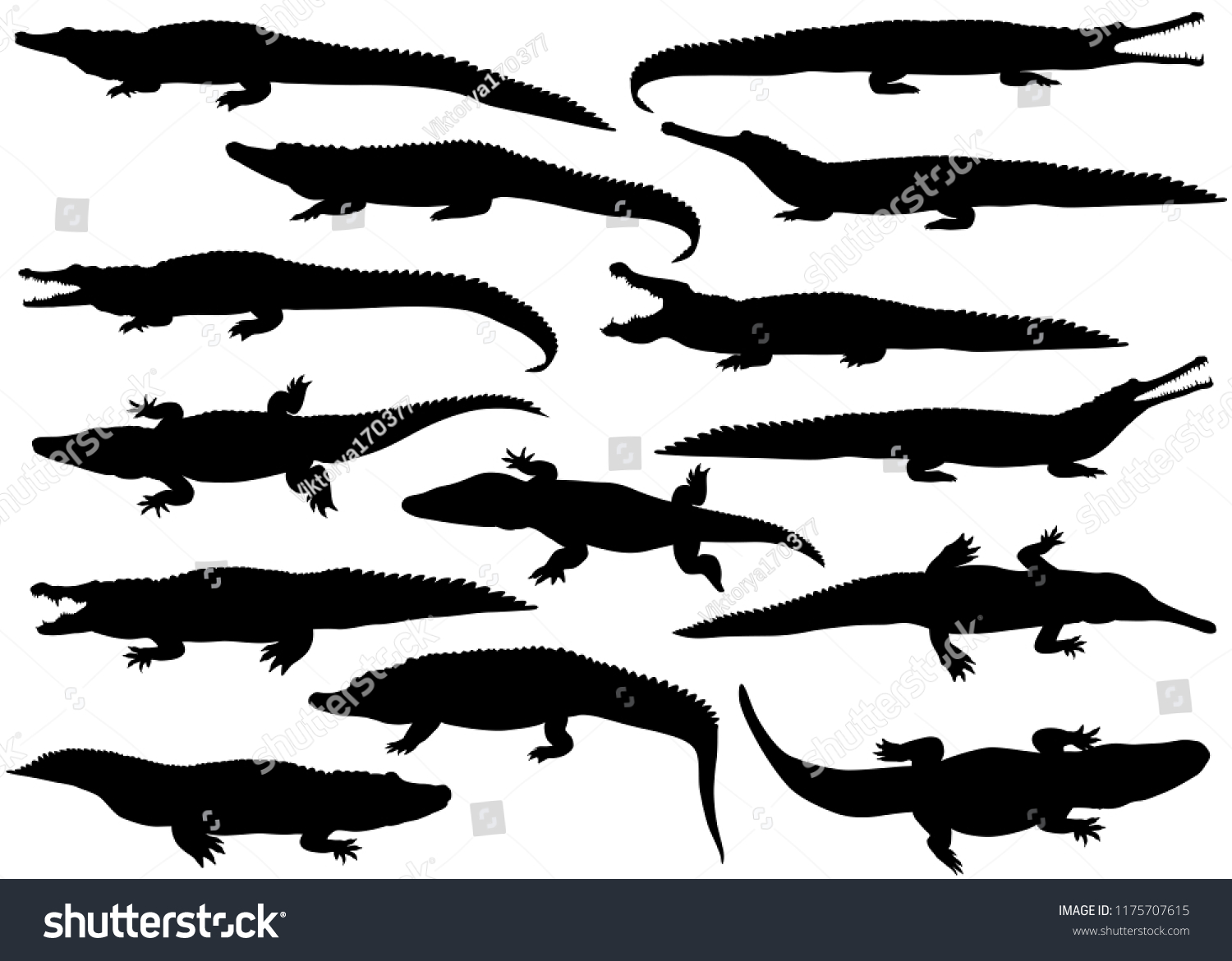 Collection Silhouettes Different Species Crocodiles Stock Vector ...