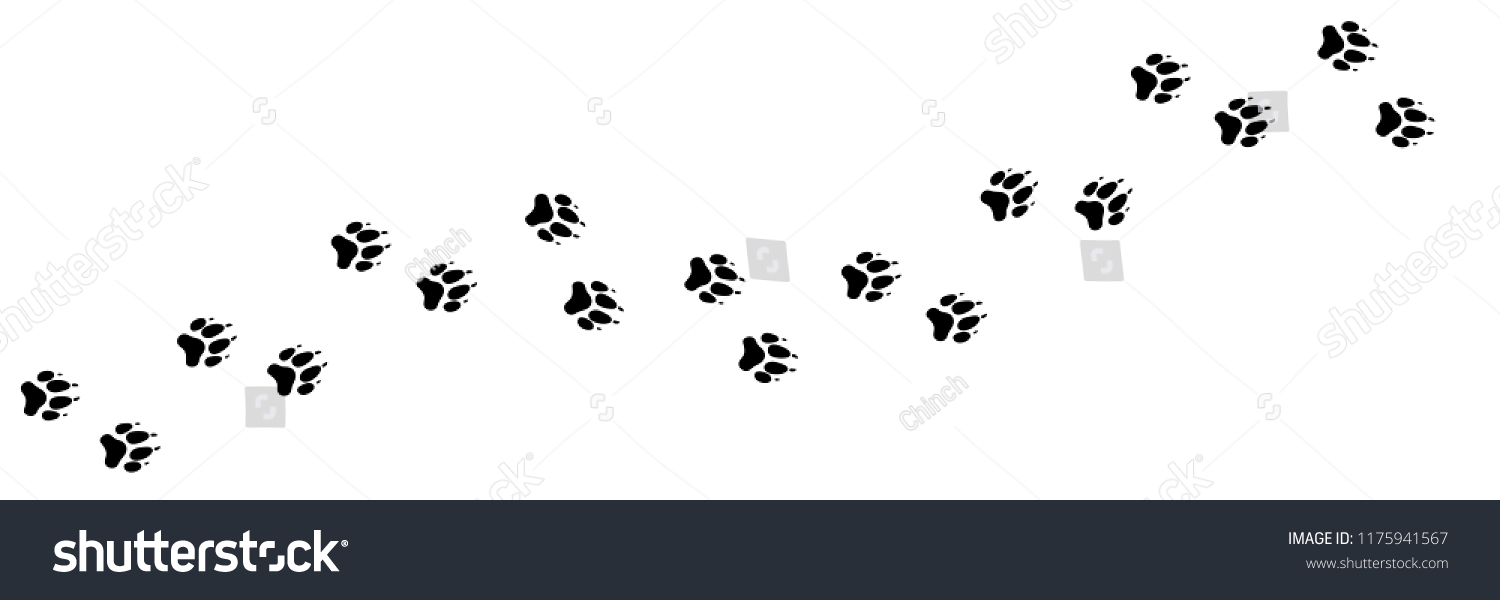 21,462 Animal trail vector Images, Stock Photos & Vectors | Shutterstock