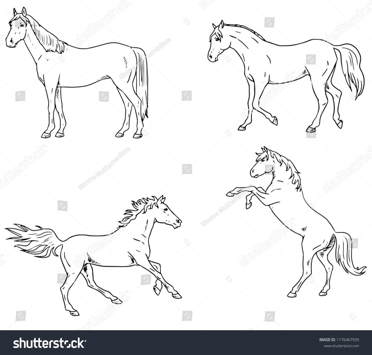 Silhouette Horse Line Stock Vector (Royalty Free) 1176467935 | Shutterstock