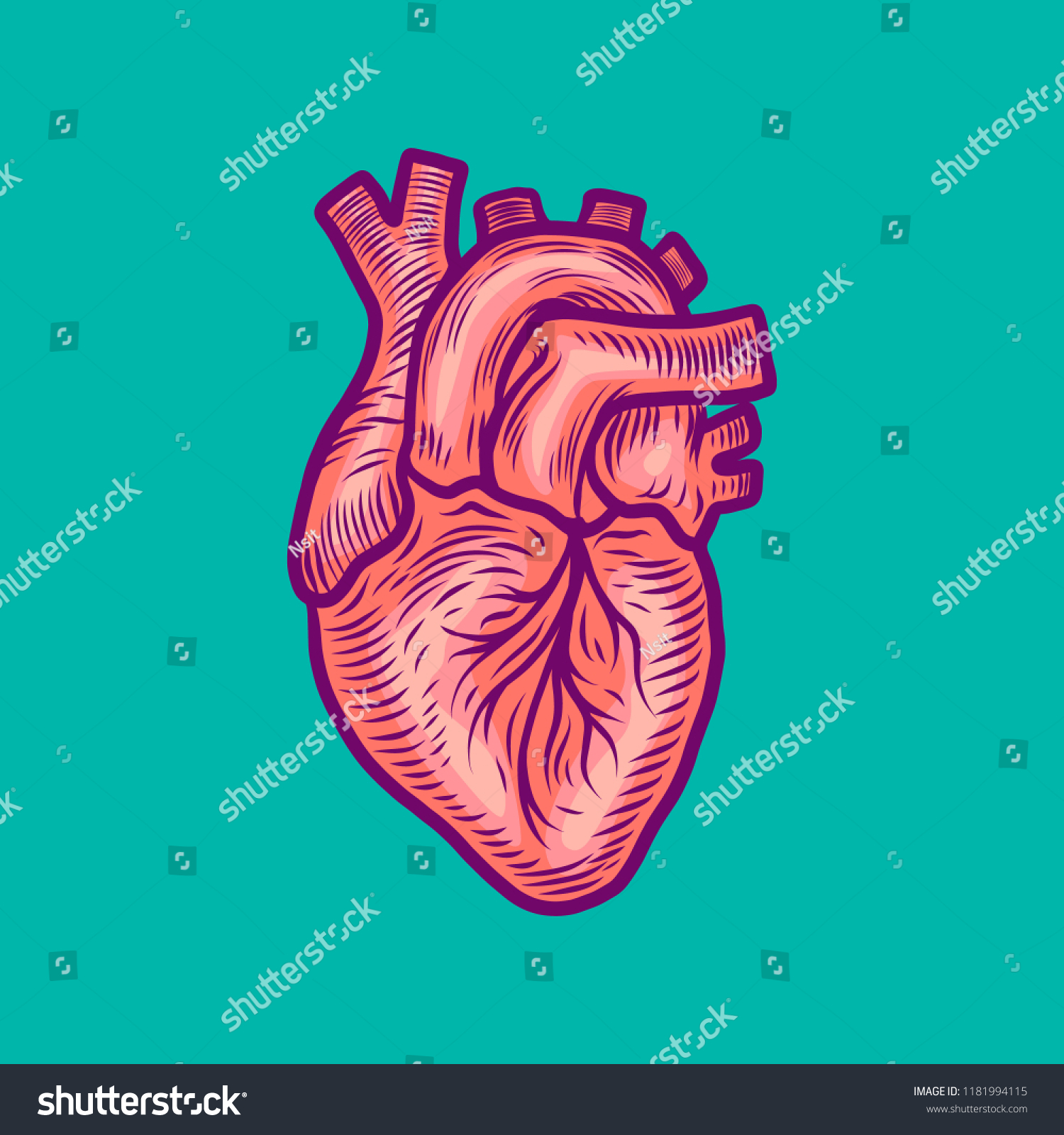 Anatomical Heart Icon Hand Drawn Illustration Stock Vector Royalty Free 1181994115 Shutterstock