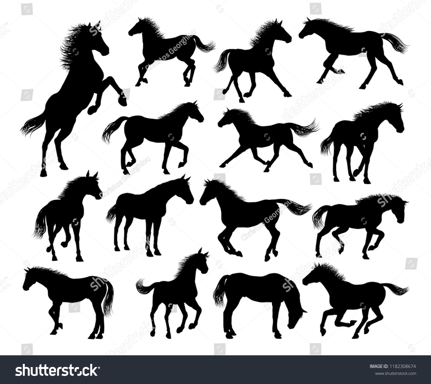 Set Horse Animal Detailed Silhouette Graphics Stock Illustration ...