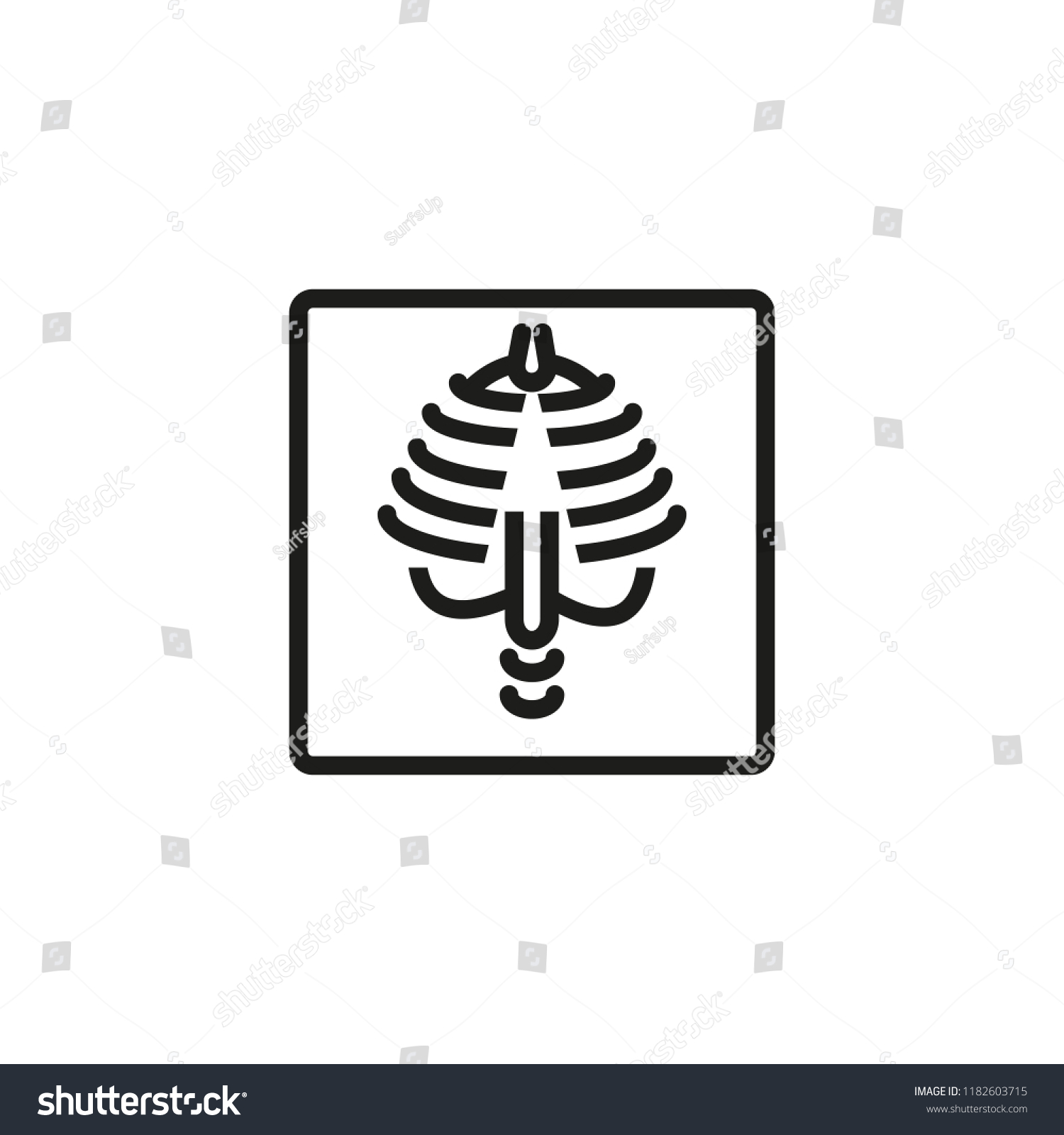 Chest X Ray Line Icon Radiology Stock Vector (Royalty Free) 1182603715 ...