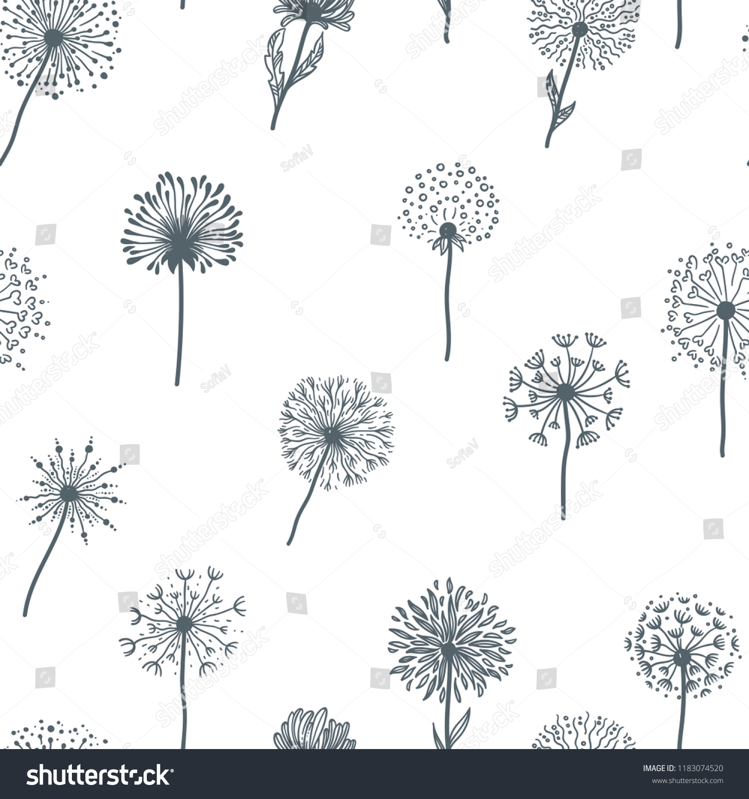 Dandelion Old Plant Seeds Sketches Outline Stock Vector (Royalty Free ...