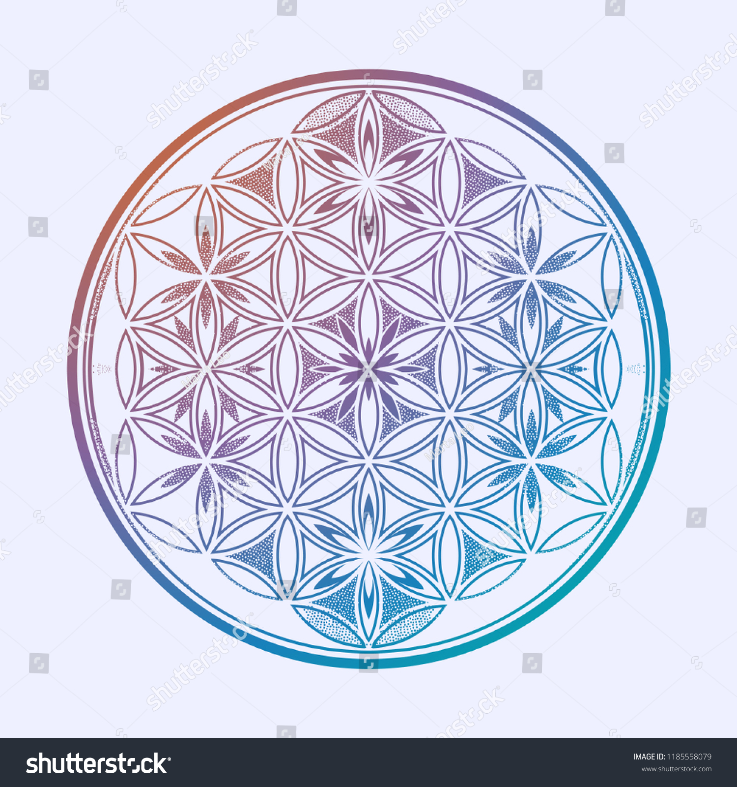 Flower Life Intersecting Circles Forming Stock Vector (Royalty Free ...