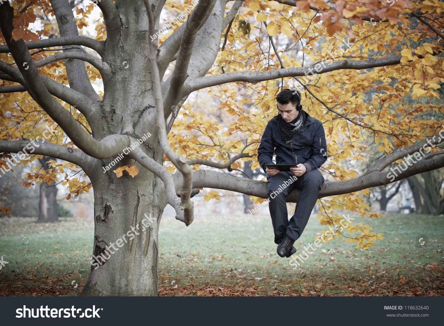 Среди серых еще не одетых деревьев. Картинка мужчины в парке. Осень мужского рода. Как подписать фото осенью с деревом.