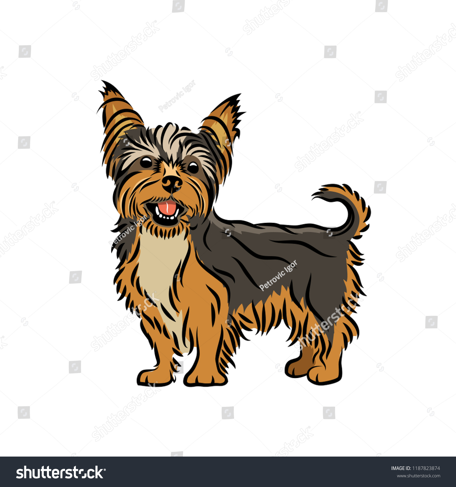 Yorkshire Terrier Dog Isolated Vector Illustration Stock Vector ...