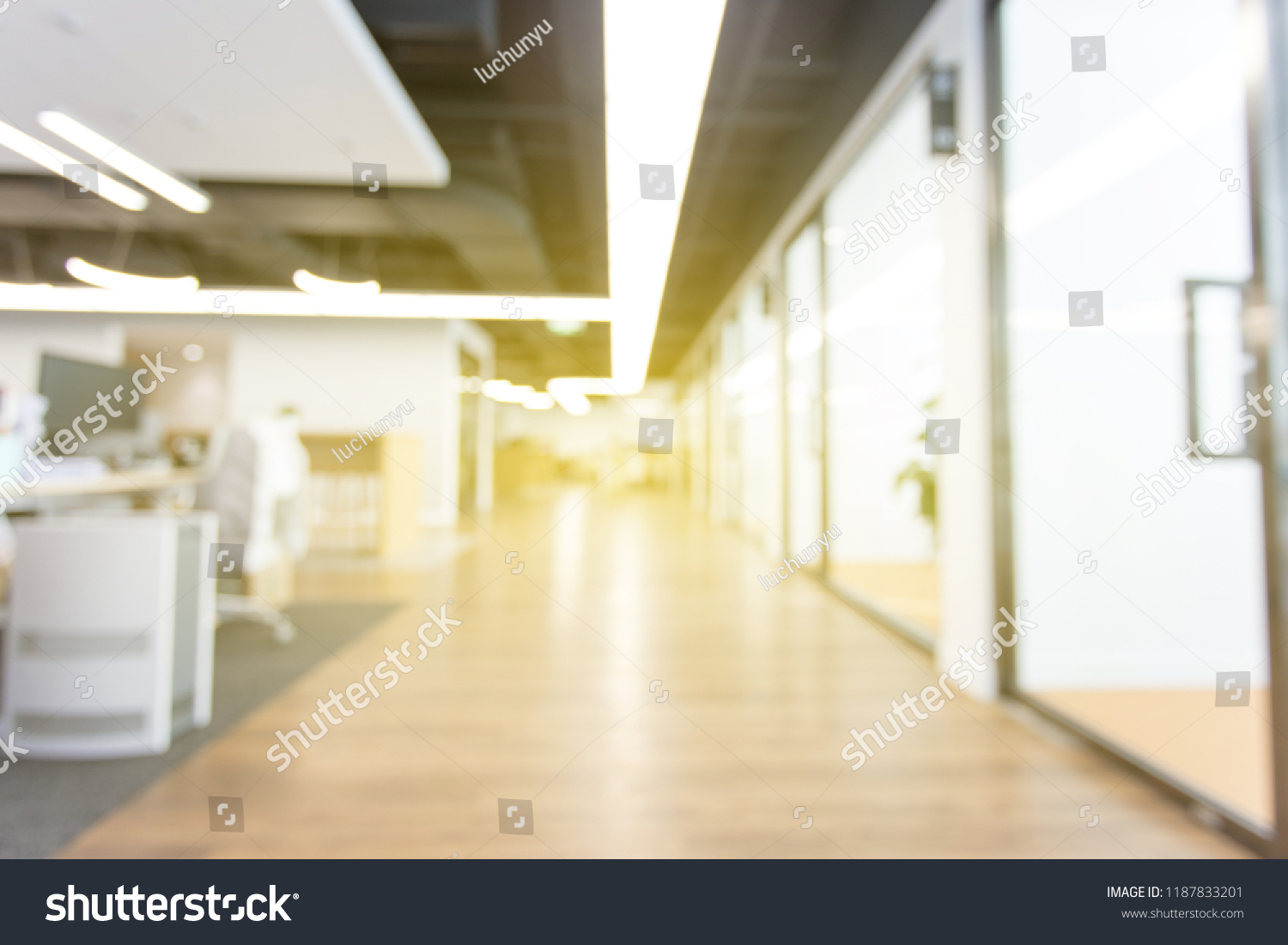 Front View Office Corridorblurred Background Stock Photo 1187833201 ...