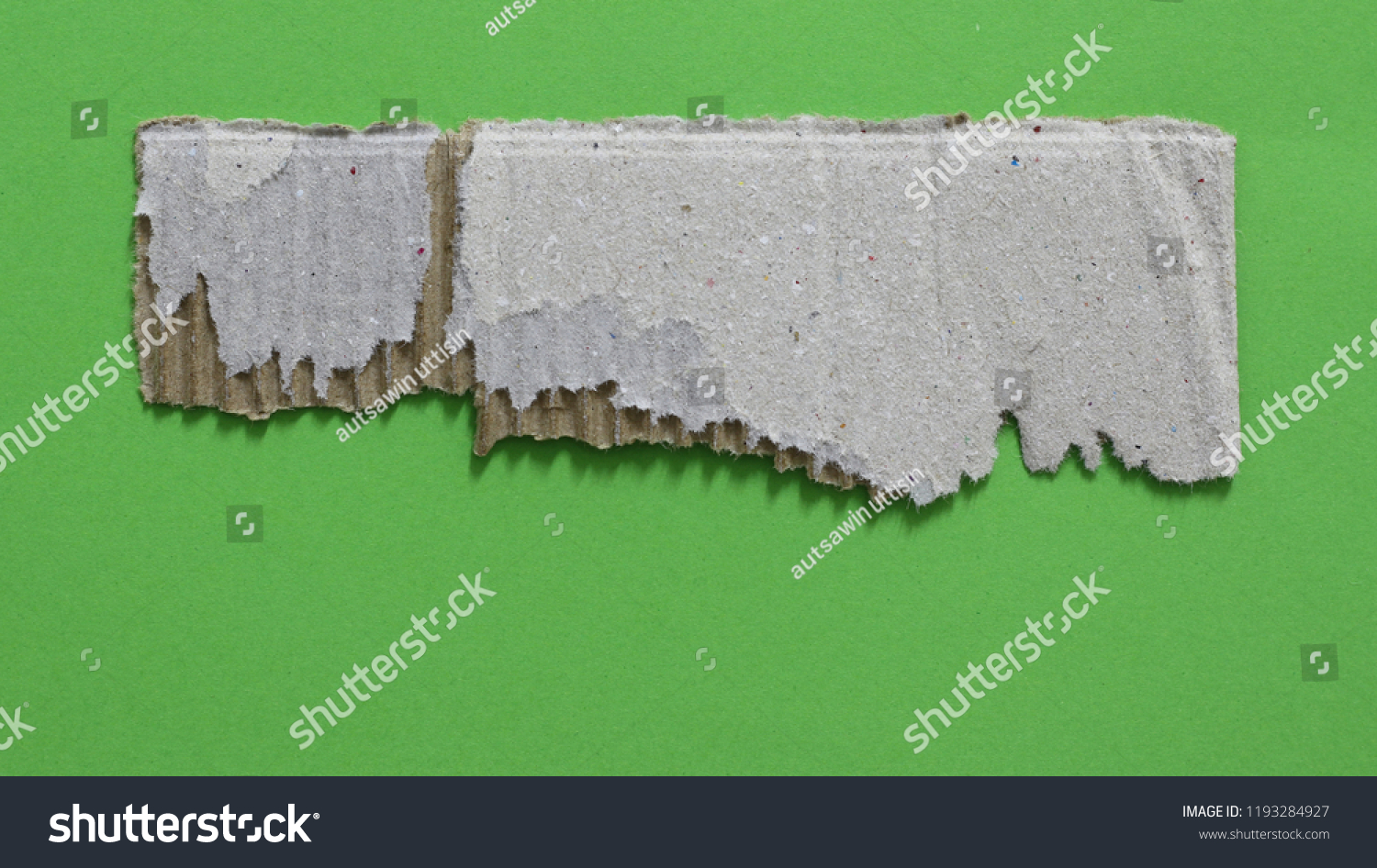 Torn White Paper Green Color Background Stock Photo 1193284927 ...