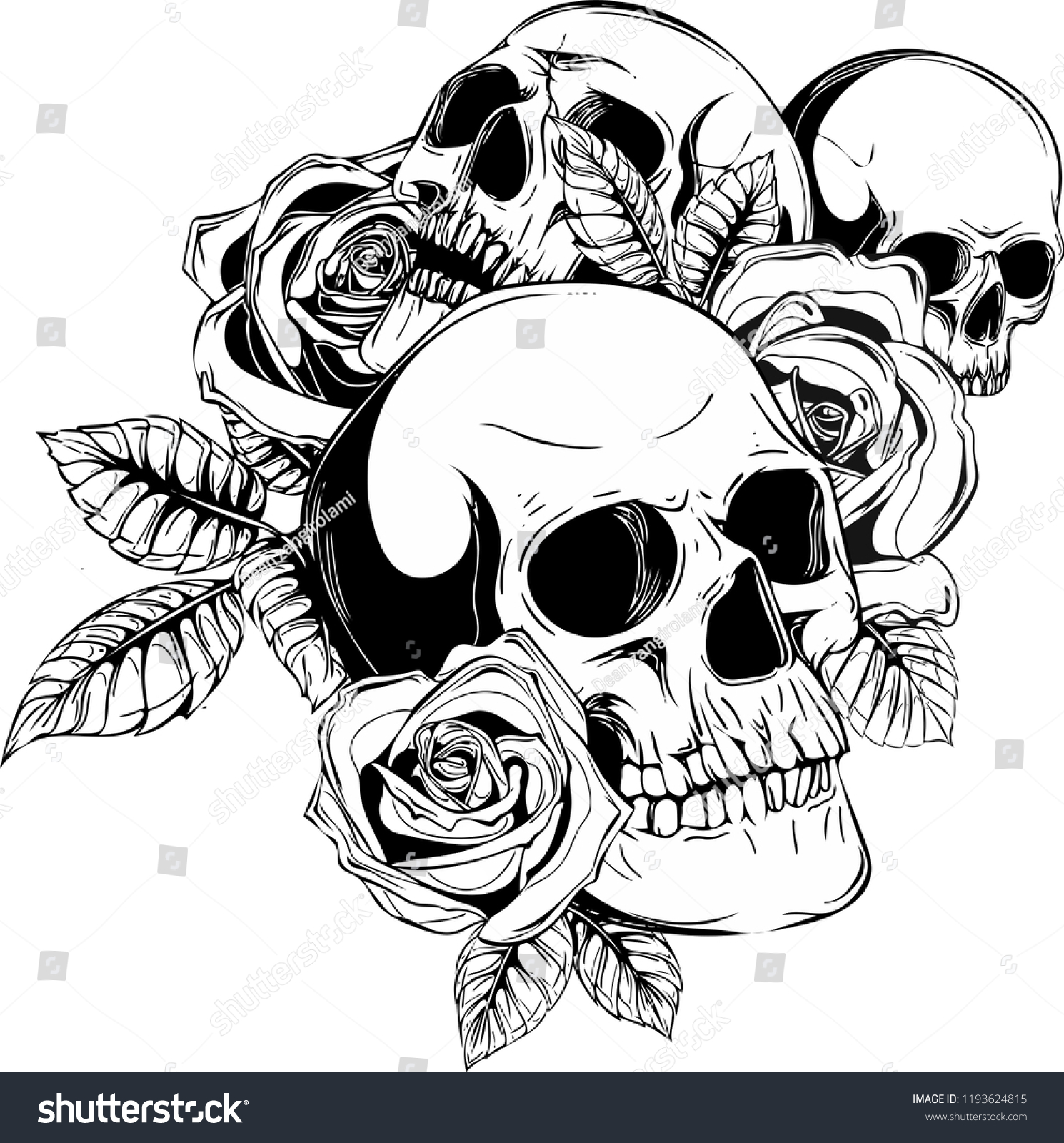 Human Skulls Roses On White Background Stock Vector (Royalty Free ...