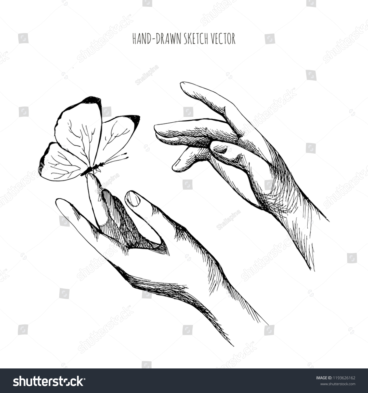 Руки выпускающие бабочку рисунок