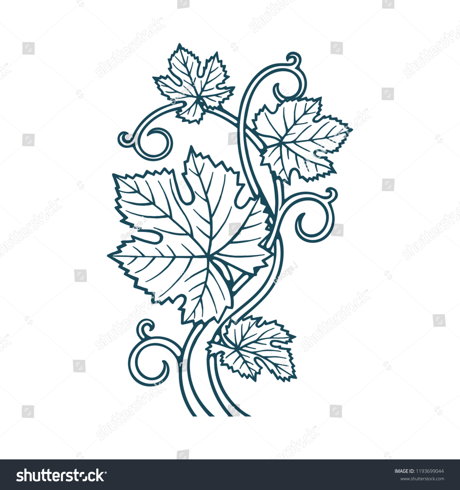 Hand Drawn Grape Vine Illustration Stock Vector (Royalty Free ...