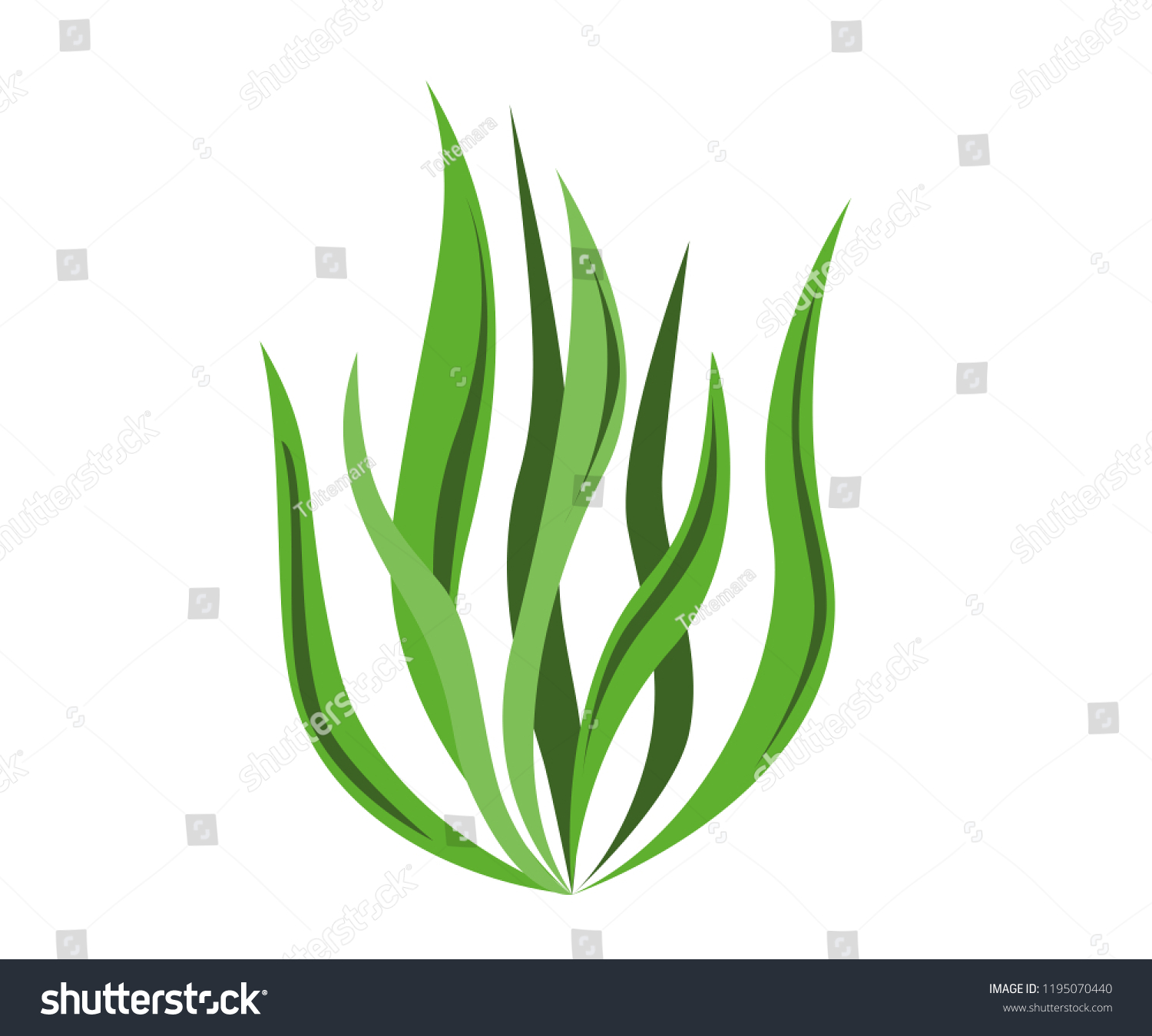 Spirulina Algae Icon On White Background Stock Vector (Royalty Free ...