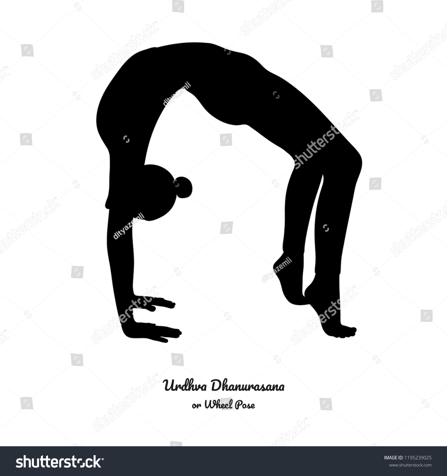 Urdhva Dhanurasana Wheel Pose Vector Stock Vector (Royalty Free ...