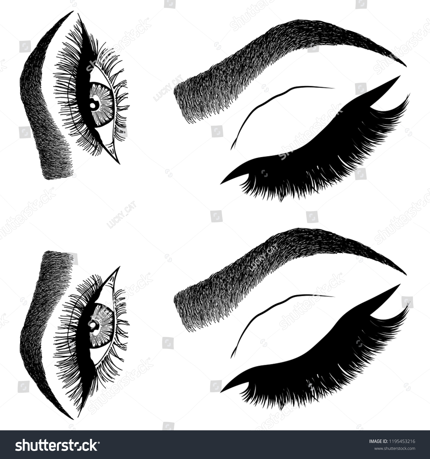 Illustration Womans Eyes Eyelashes Eyebrows Makeup Stock Vector Royalty Free 1195453216 7251