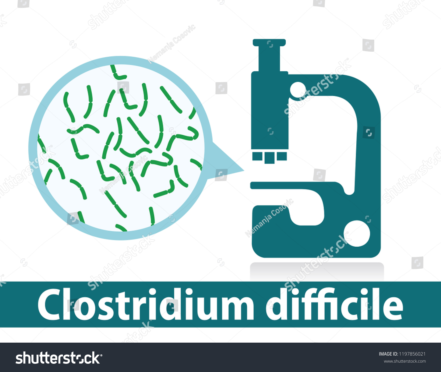 Microscope Bacteria Clostridium Difficile Stock Vector (Royalty Free ...