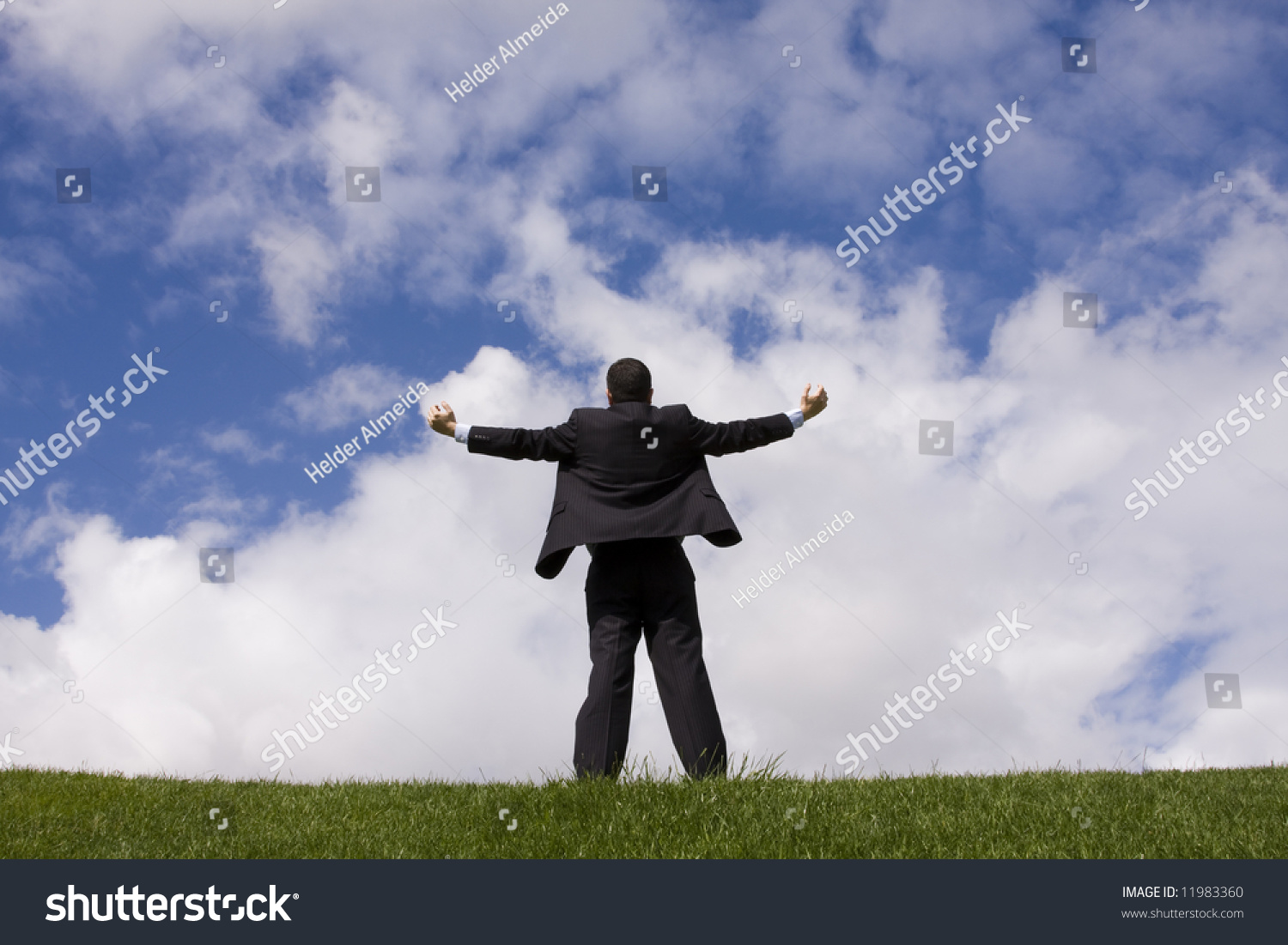 Businessman Field Looking Bright Future Ahead Stock Photo 11983360 ...