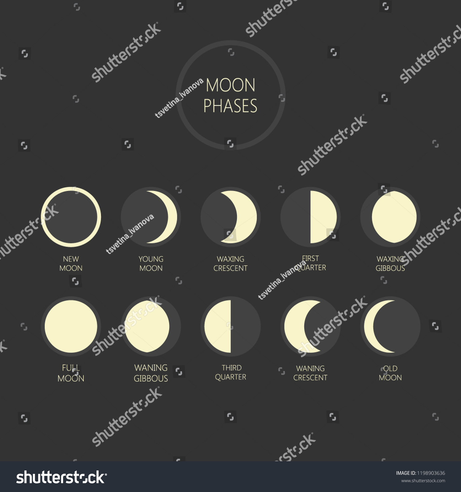 Lunar Phases Vector Illustration Moon Phase Stock Vector (Royalty Free ...