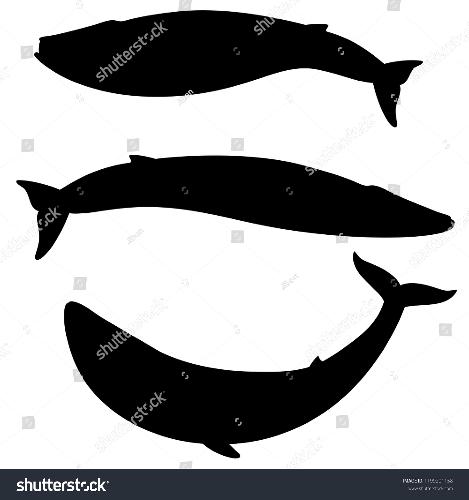 Set Silhouettes Blue Whale On White Stock Vector (Royalty Free ...