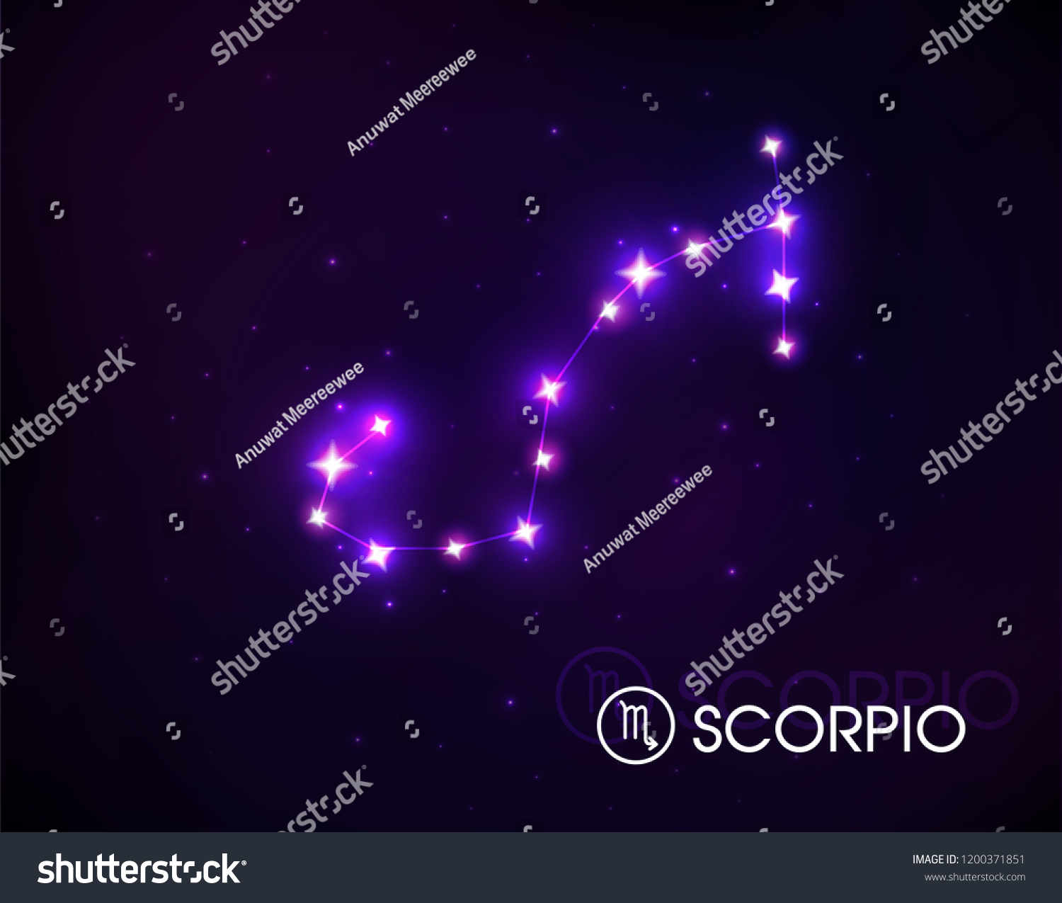 Scorpio Position Star Link Zodiac Sign Stock Vector (Royalty Free ...