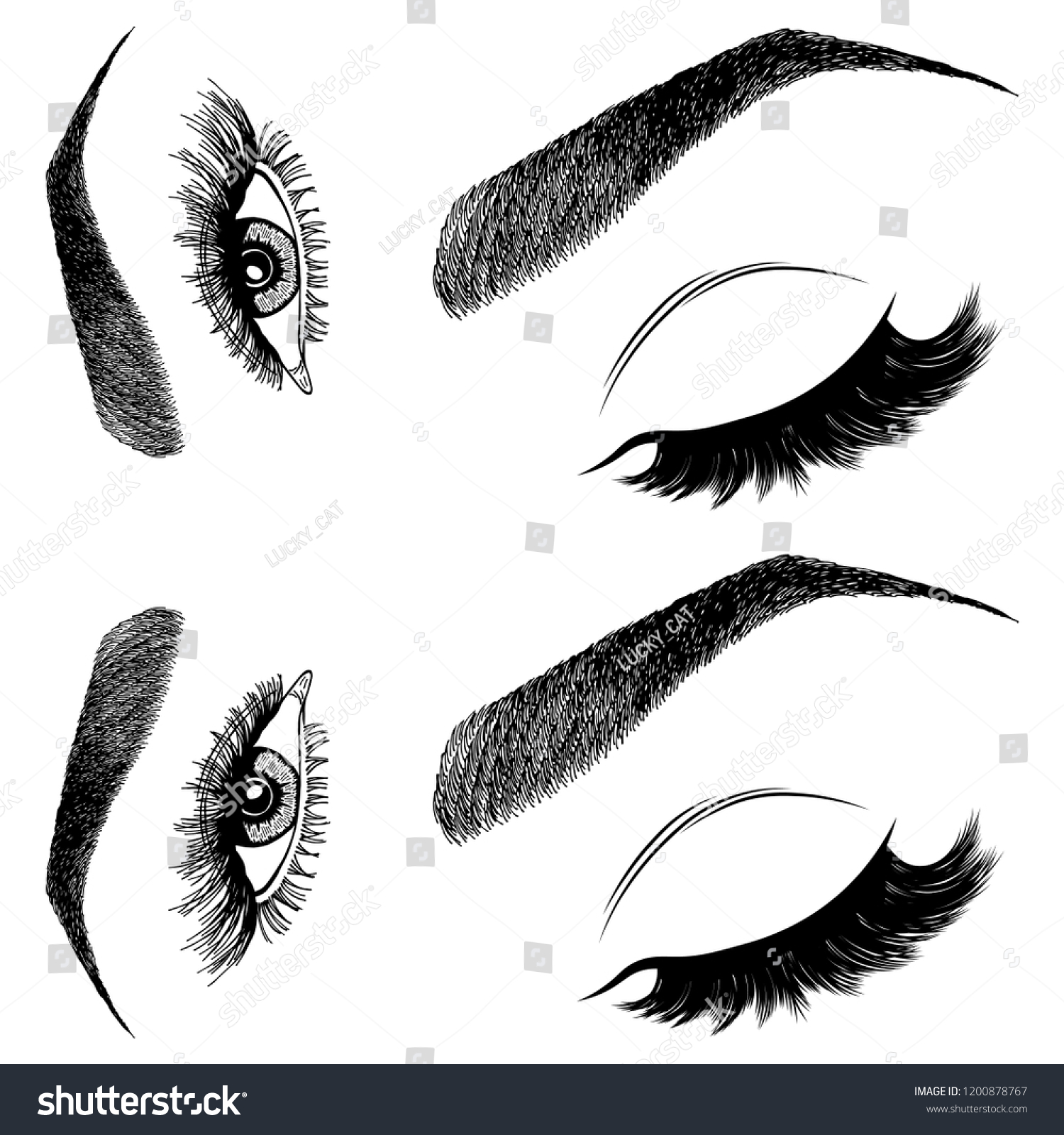 Illustration Womans Eyes Eyelashes Eyebrows Makeup Stock Vector Royalty Free 1200878767