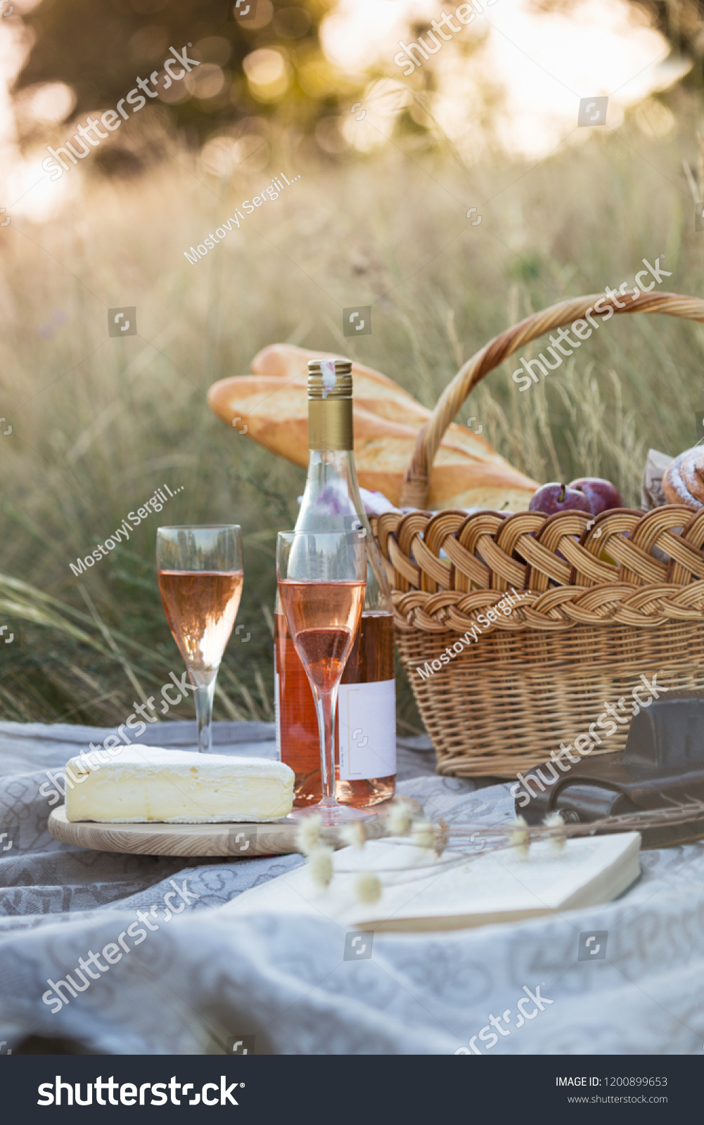 Summer Provencal Picnic Meadow Baguette Wine Stock Photo 1200899653 ...