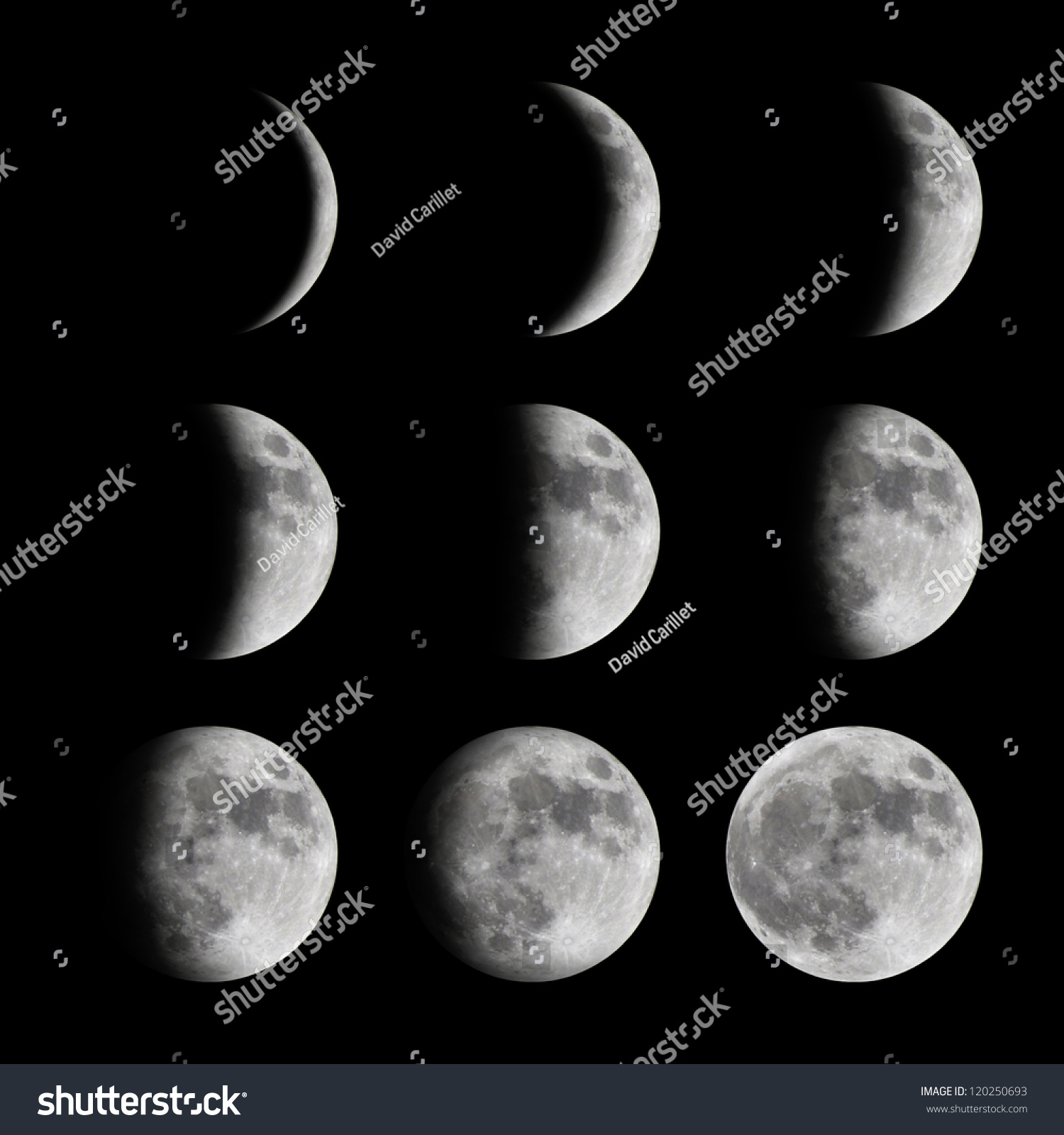 Fase Bulan Dari Yang Baru Sampai Foto Stok 120250693 | Shutterstock