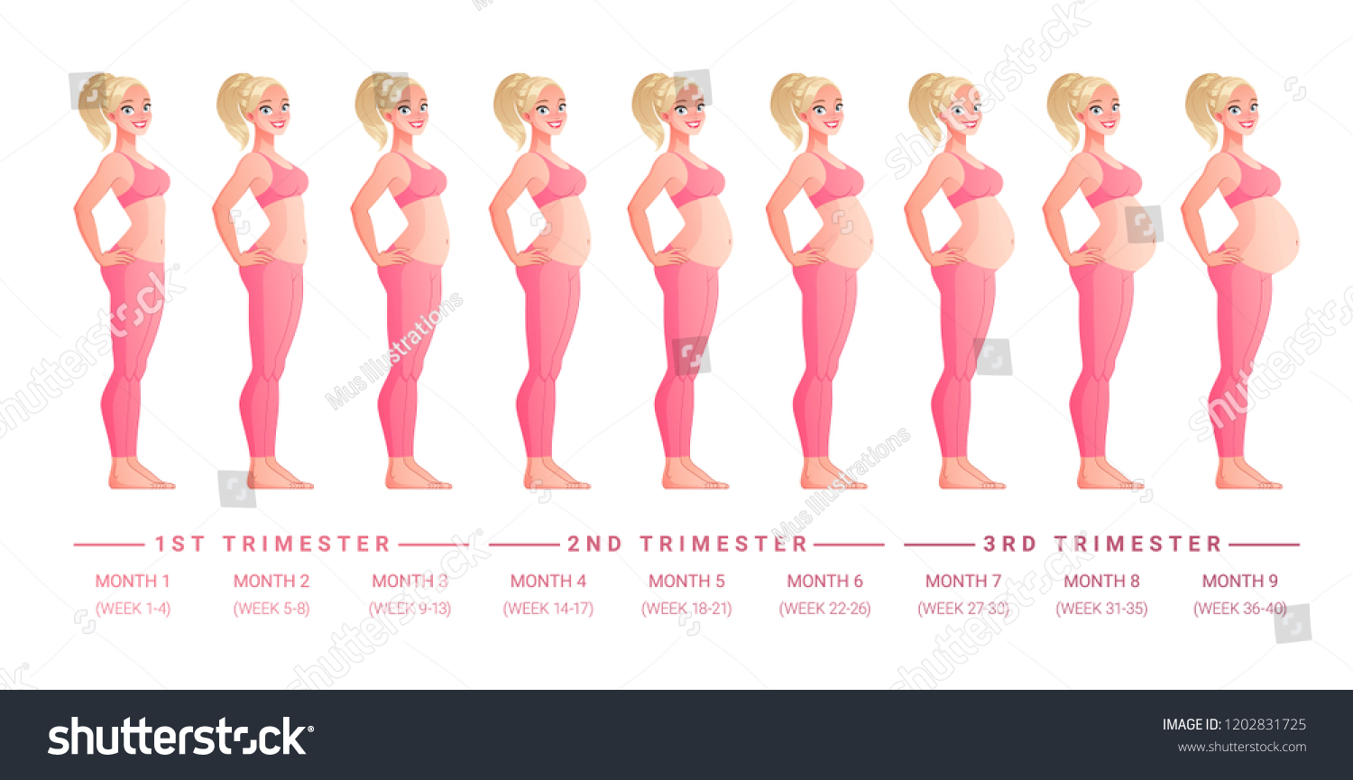 Beautiful Woman On Different Stages Pregnancy Stock Vector (Royalty ...