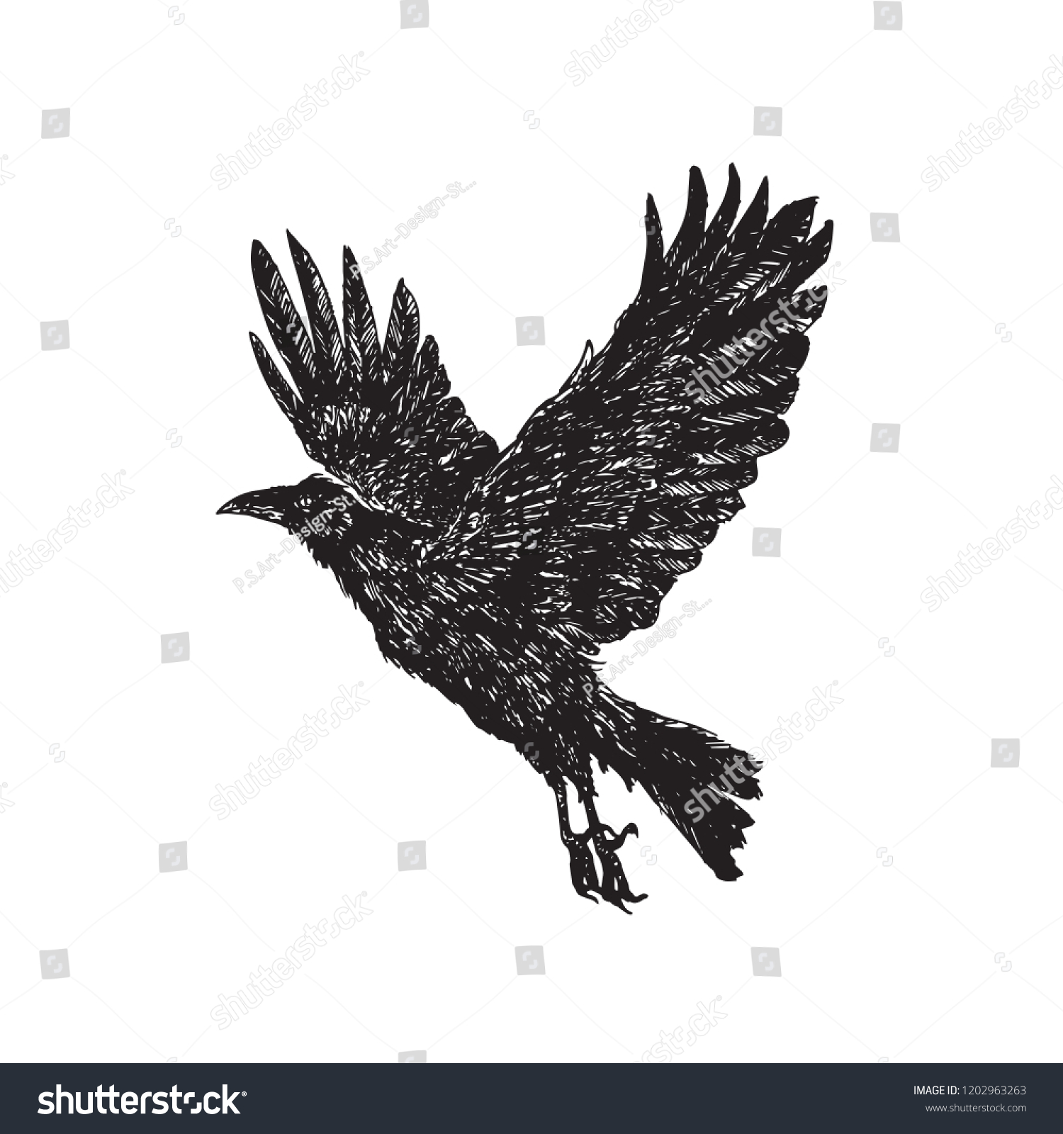 flying crow outline template