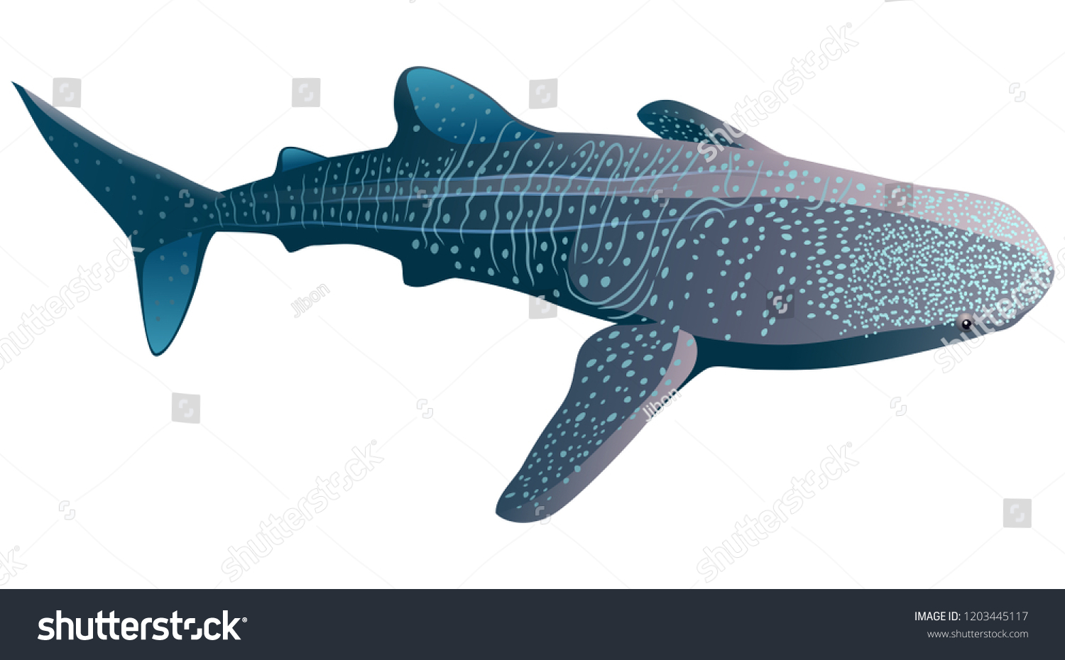 Китовая акула из пластилина