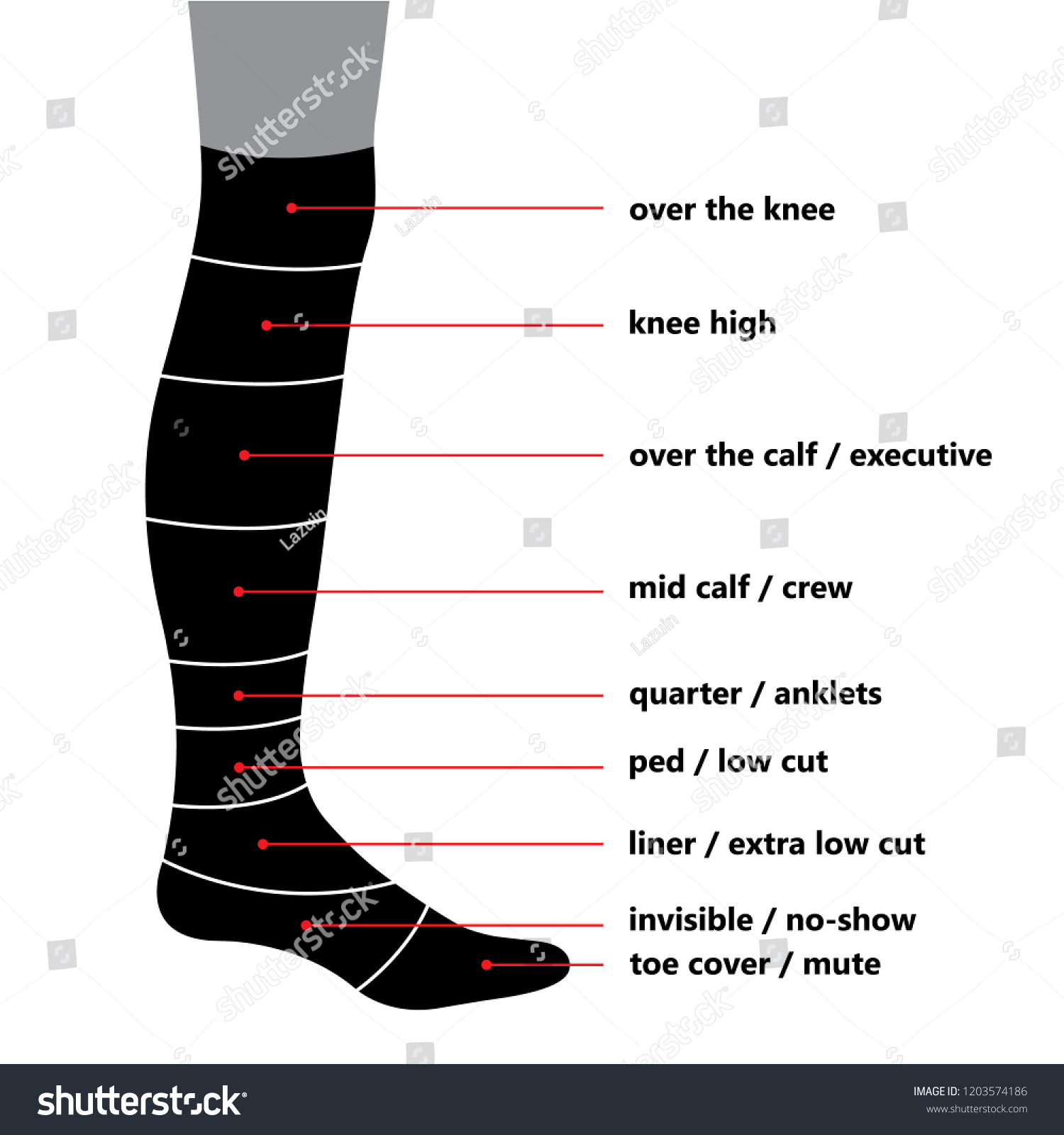 Types Socks Scheme Noshow Lowcut Extra Stock Vector (Royalty Free ...