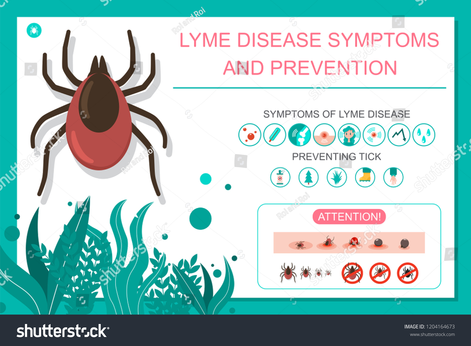 Preventing Tick Bite Lyme Disease Symptoms Stock Vector Royalty Free Preventing Tick Bite Lyme Disease Symptoms Stock Vector Royalty Free