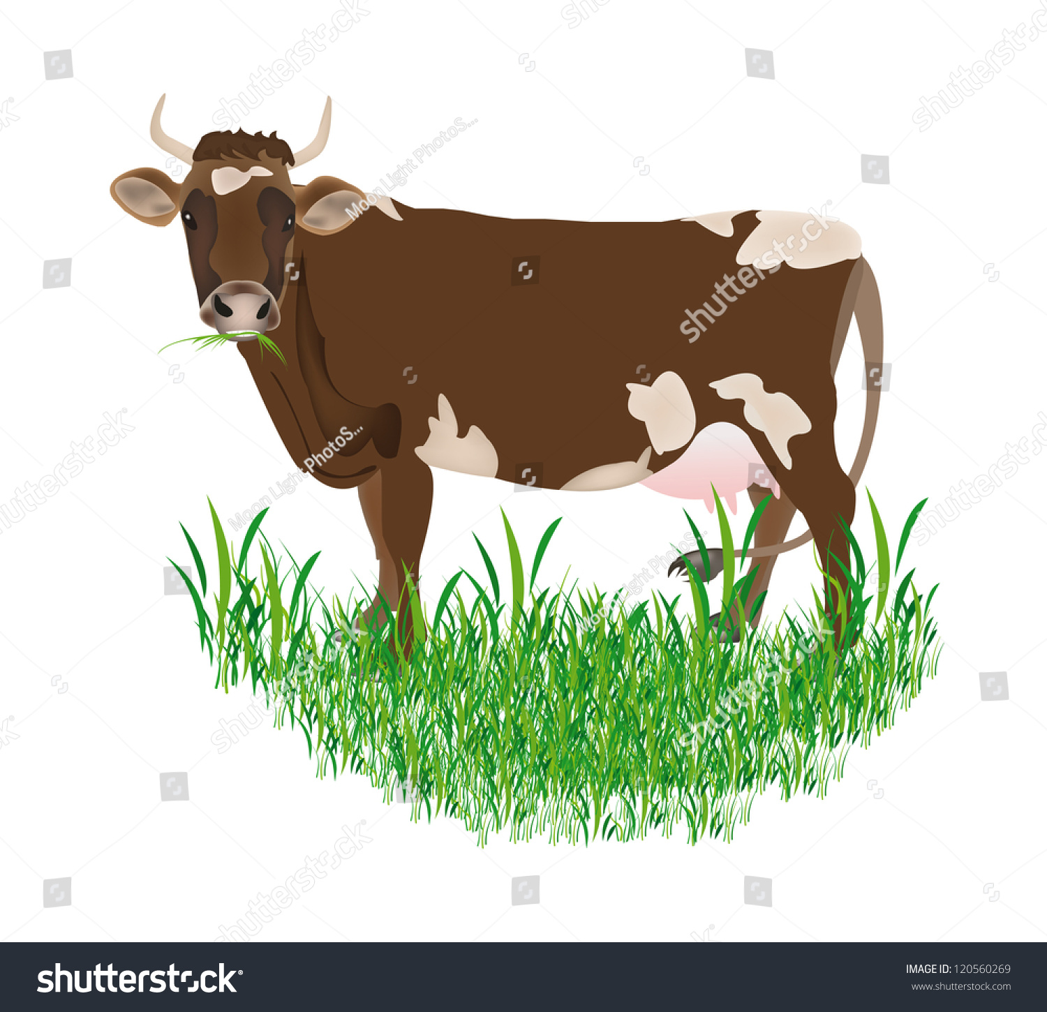Корова вектор