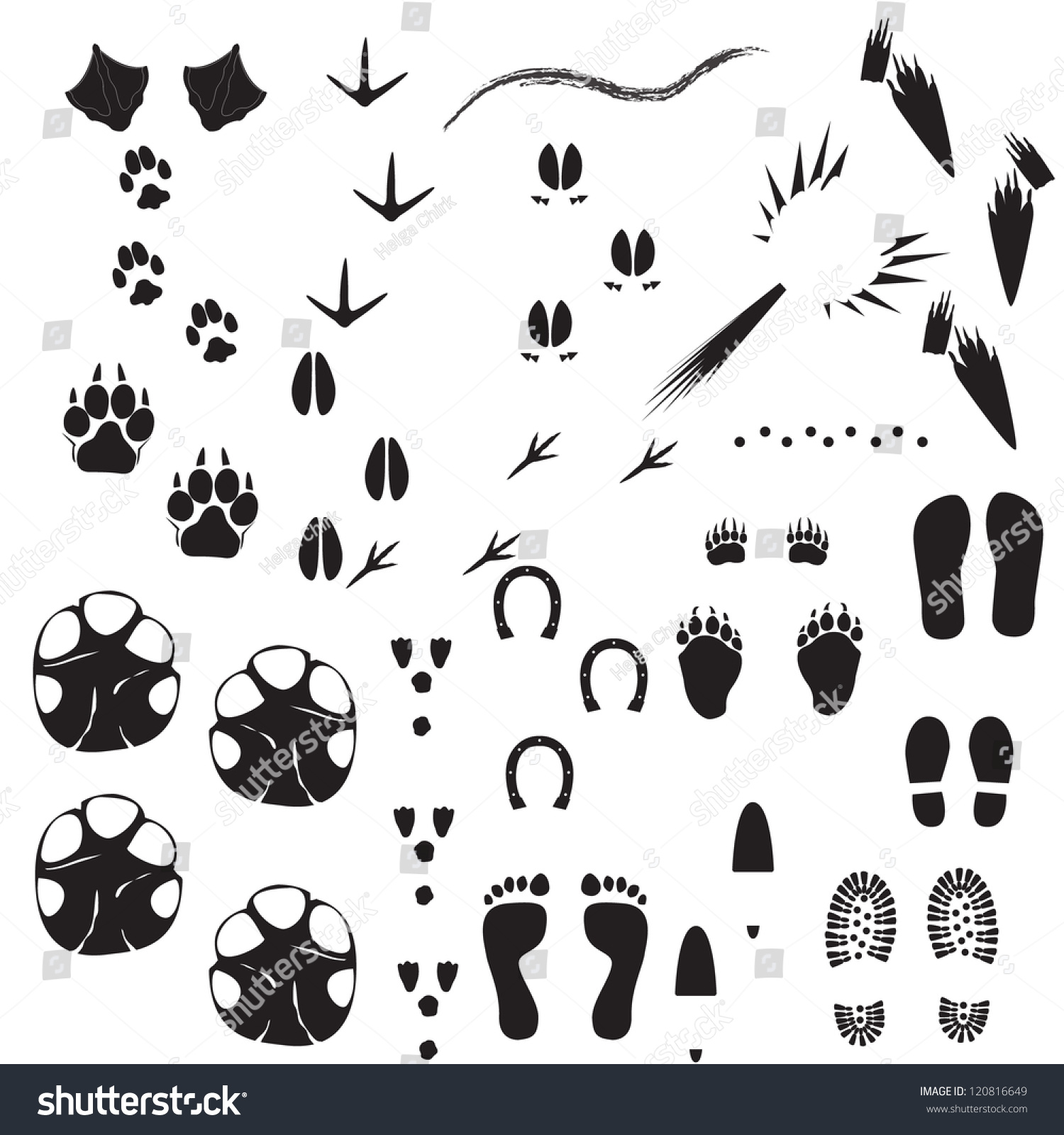 Traces Animals Birds People Stock Vector (Royalty Free) 120816649 ...