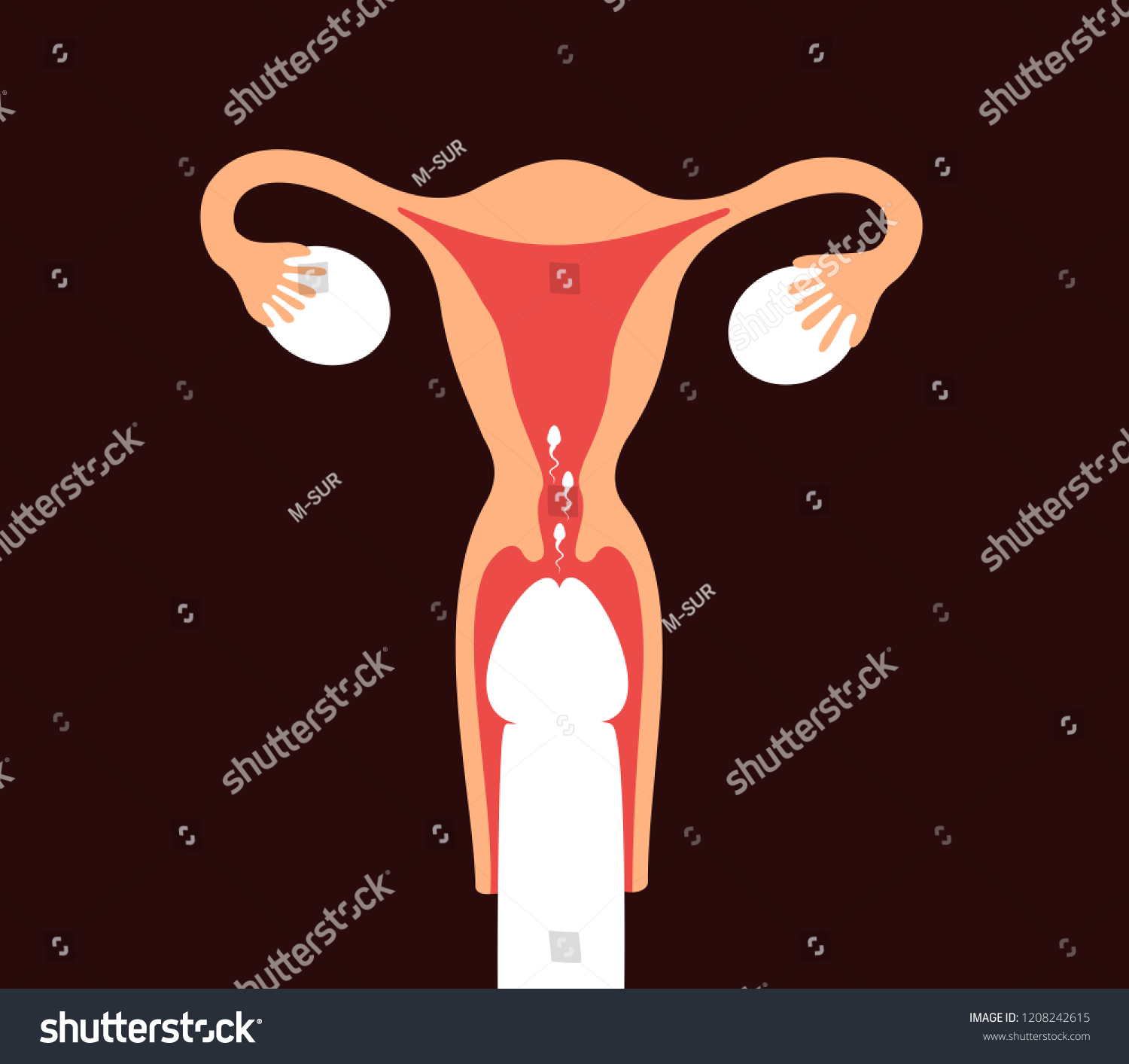 Vagina Penetration