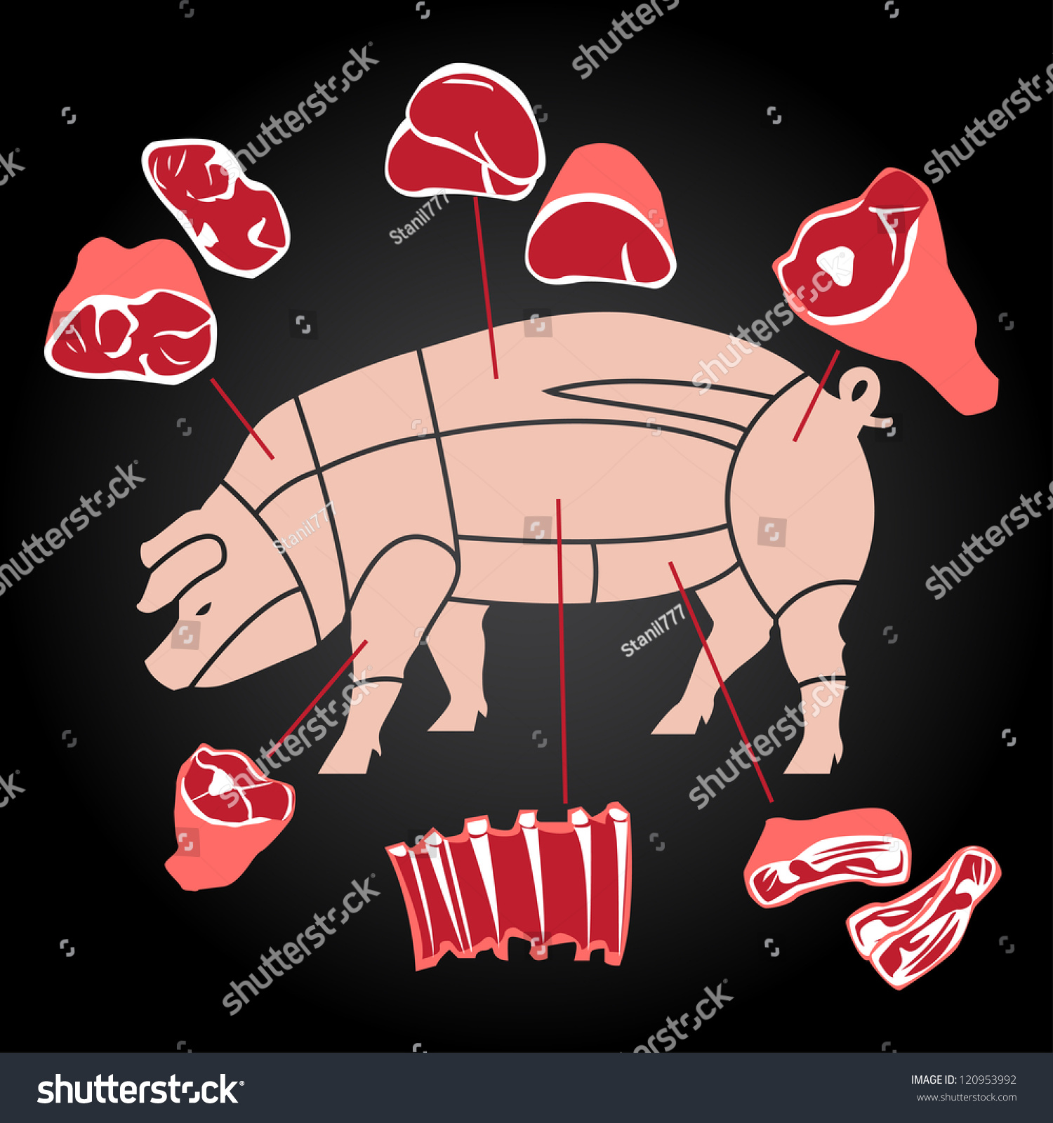 Pork Pig Meat Cuts Stock Vector (Royalty Free) 120953992 | Shutterstock