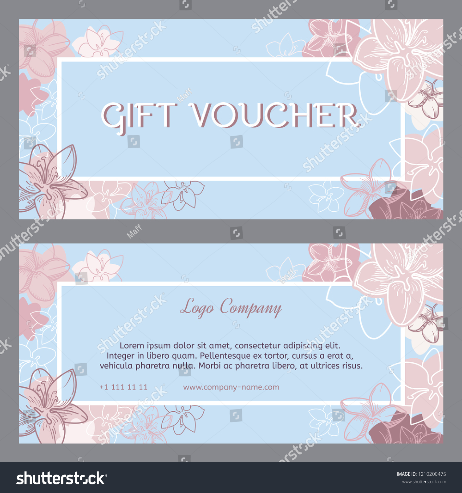 Vector Gift Voucher Template Lily Flowers Stock Vector (Royalty Free ...