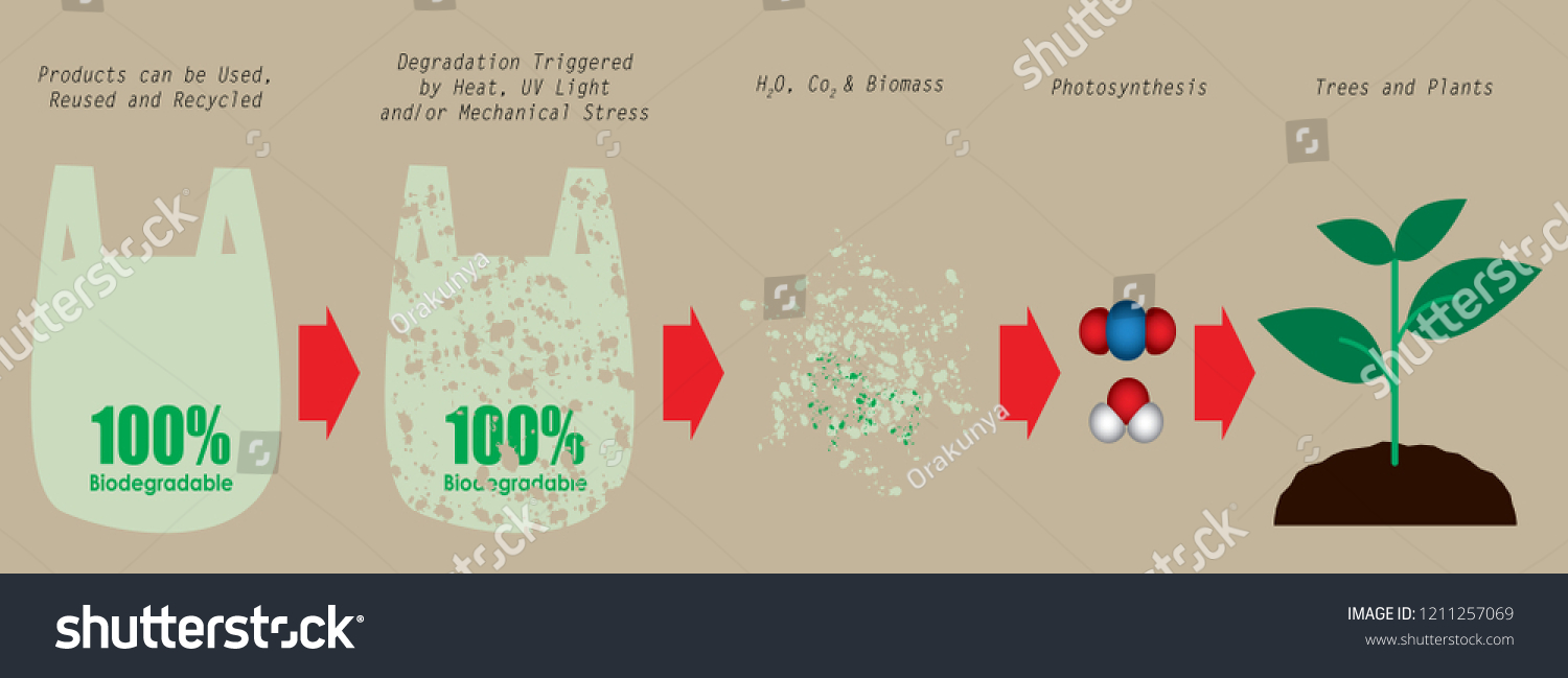 Vektor Stok Proses Dekomposisi Kantong Plastik Biodegradable Ke Tanpa Royalti 1211257069 8992