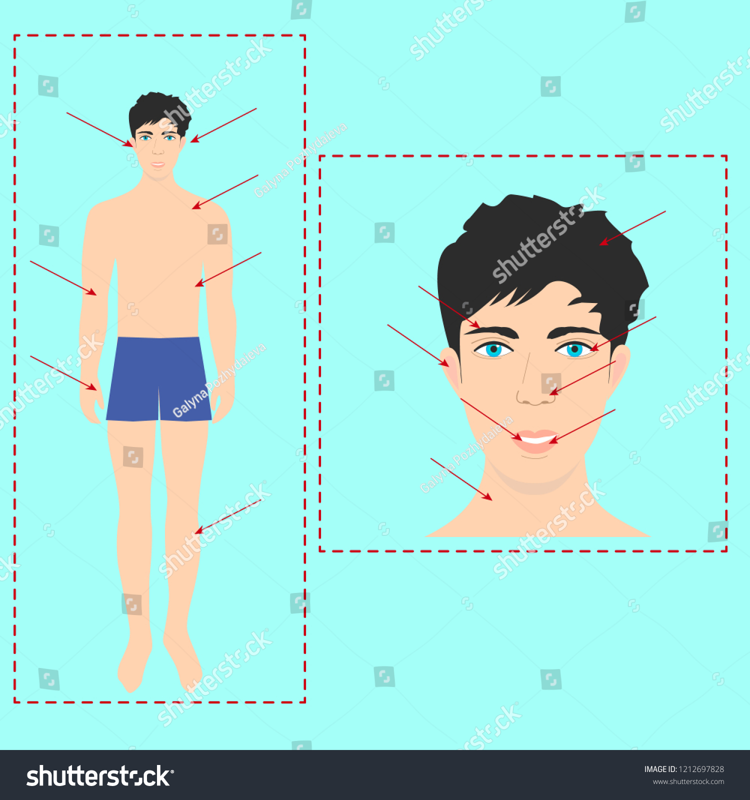 Scheme Human Body Parts Stock Vector Royalty Free 1212697828 Shutterstock 9450