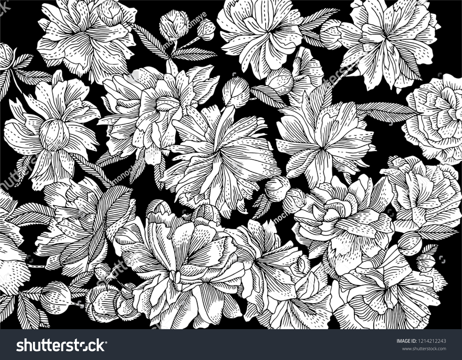 Floral Black White Flower Line Work Stock Vector (Royalty Free ...