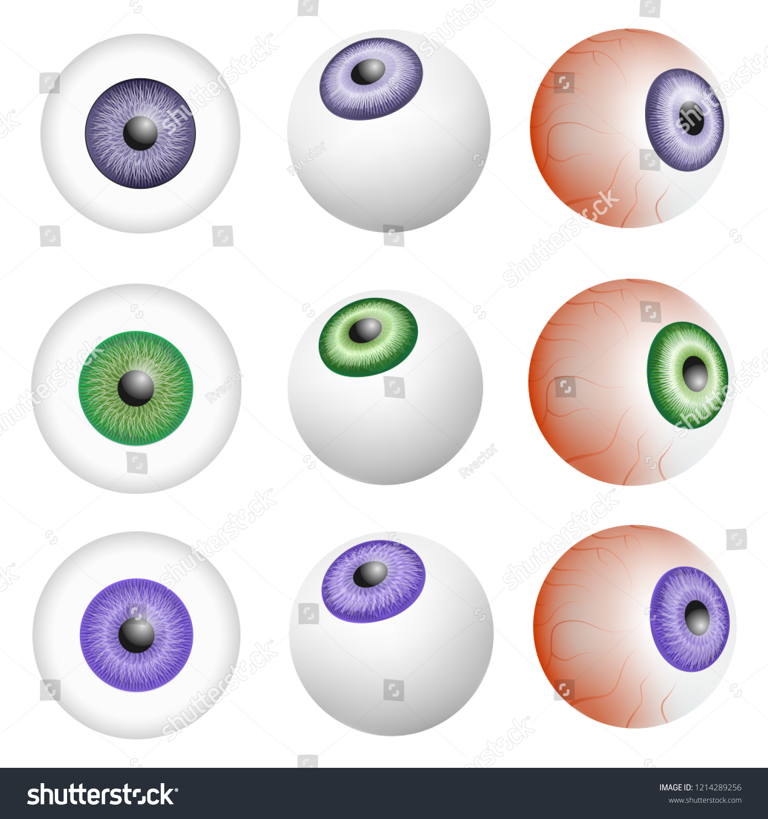 Eye Ball Anatomy Mockup Set Realistic Stock Illustration 1214289256 