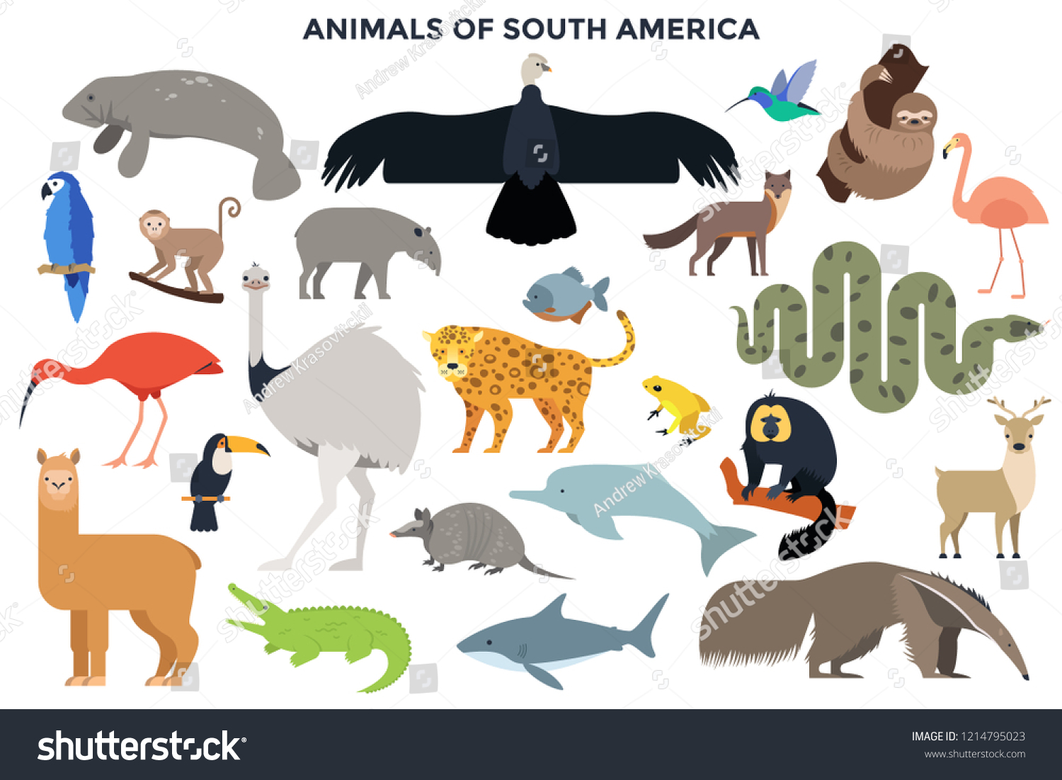 Collection Wild Jungle Forest Animals Birds Stock Vector (Royalty Free ...