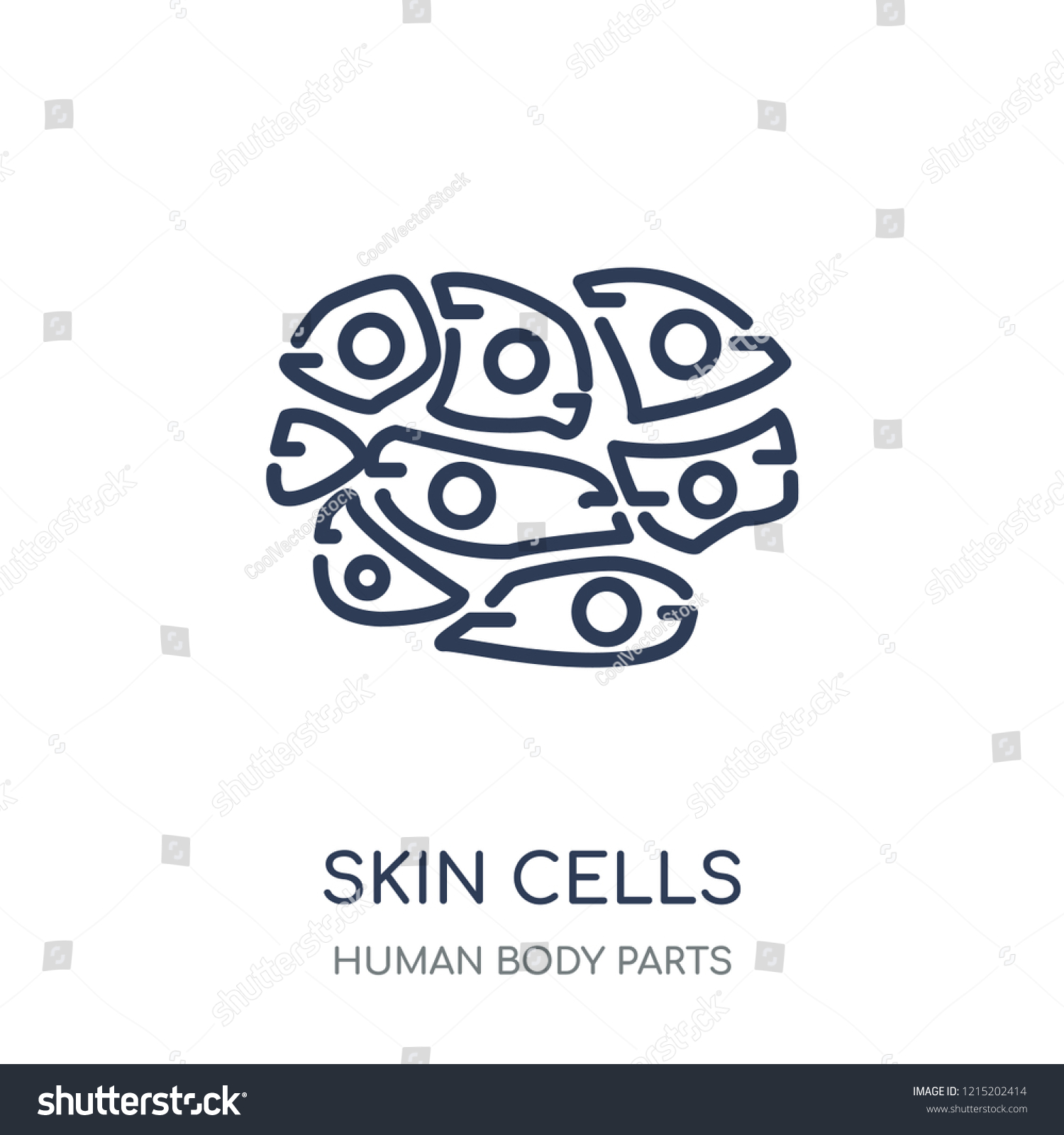 Skin Cells Icon Skin Cells Linear Stock Vector (Royalty Free ...