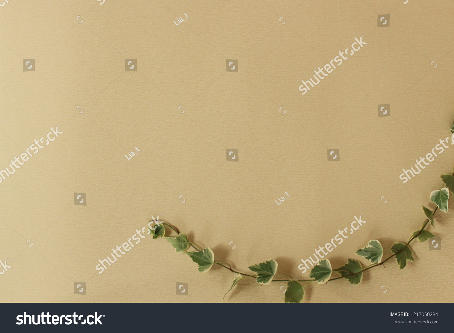 Wallpaper Ivy Background Stock Photo 1217050234 | Shutterstock