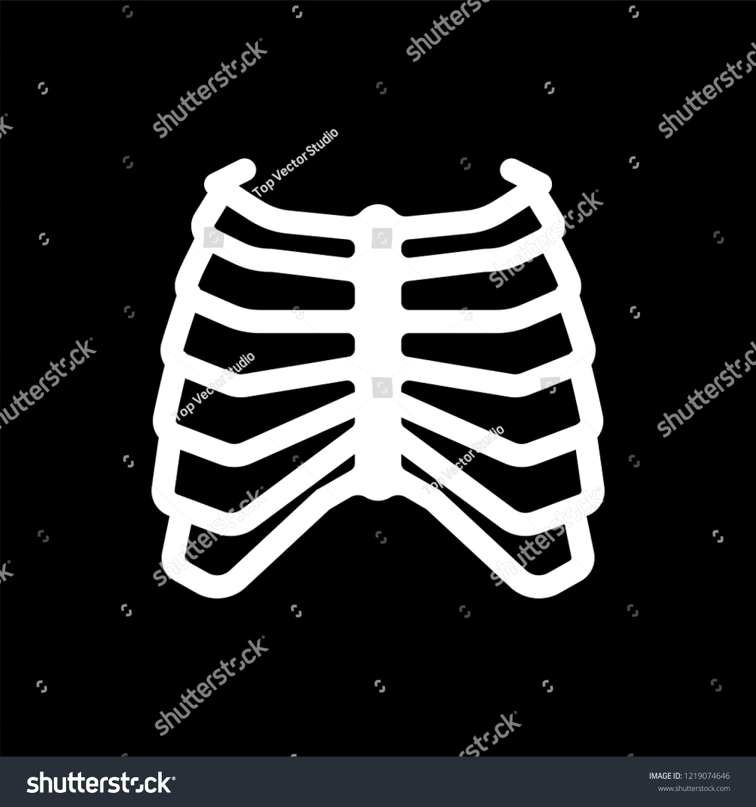 Rib Cage Skeleton Anatomy Human Skeletal Stock Vector (Royalty Free ...