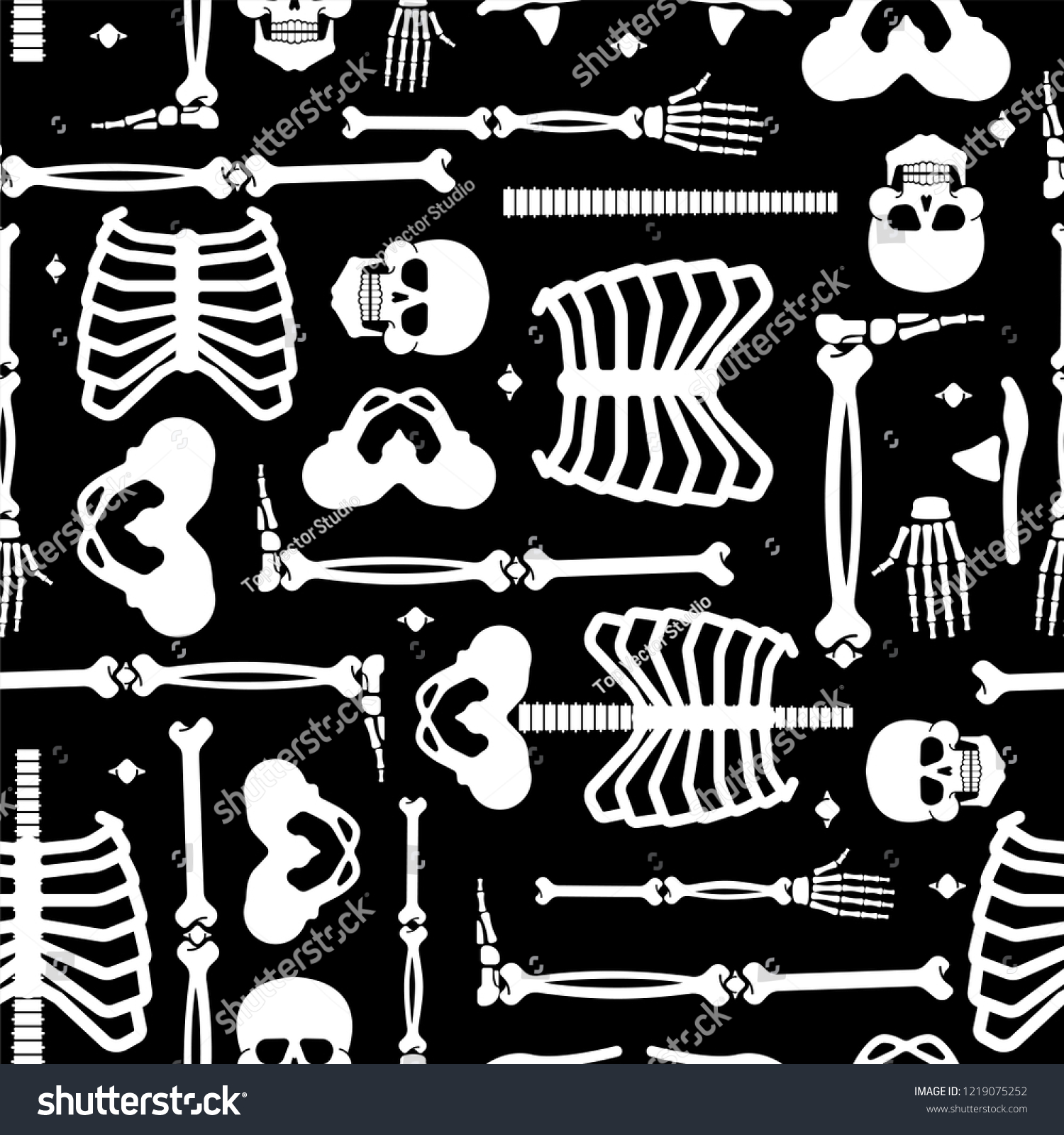 Skeleton Anatomy Human Pattern Seamless Skeletal Stock Vector (Royalty