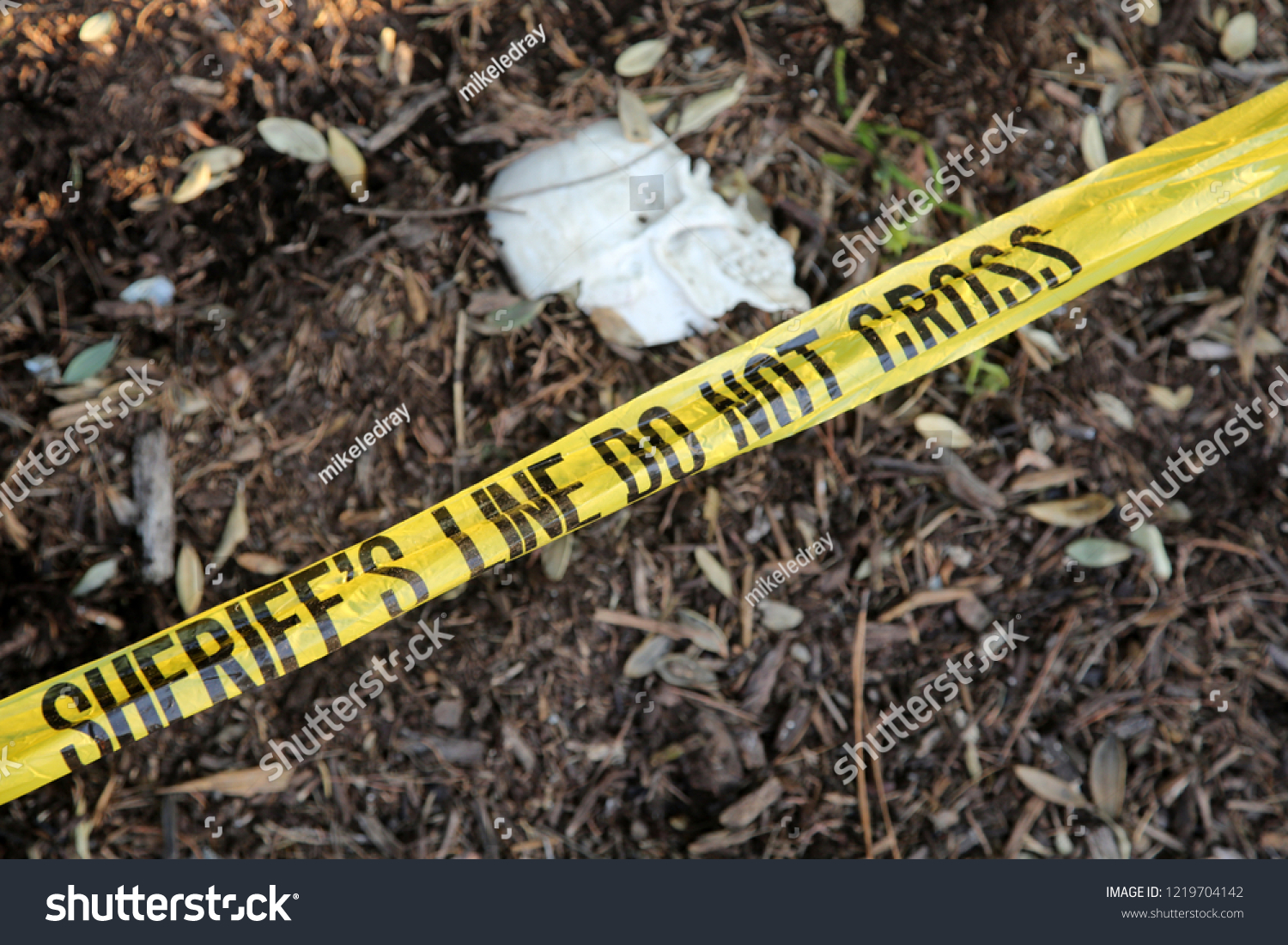 Crime Scene Human Skull Buried Dirt Stock Photo 1219704142 | Shutterstock