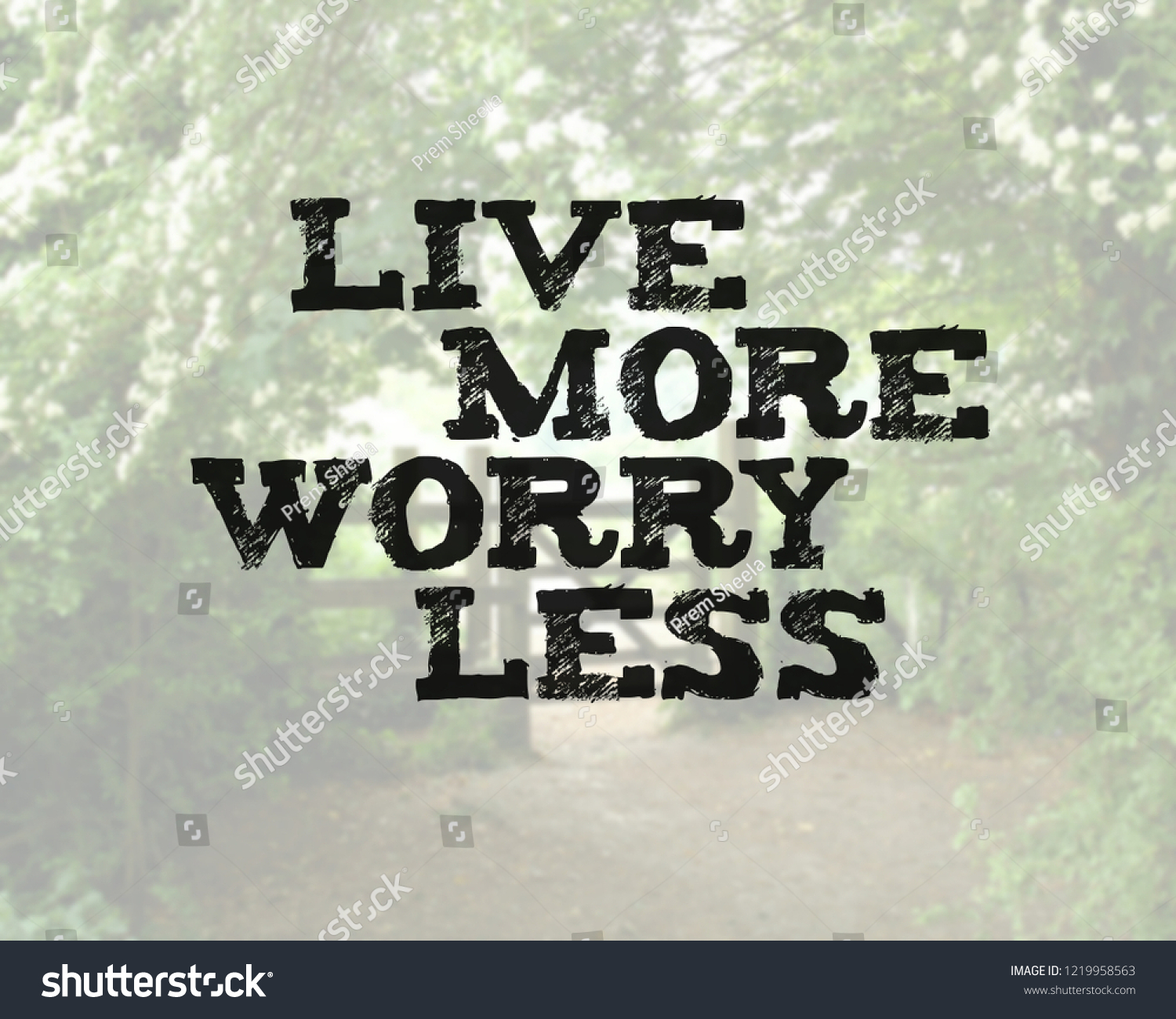 Inspirational Motivational Quotes Success Life Stock Illustration 1219958563 Shutterstock 