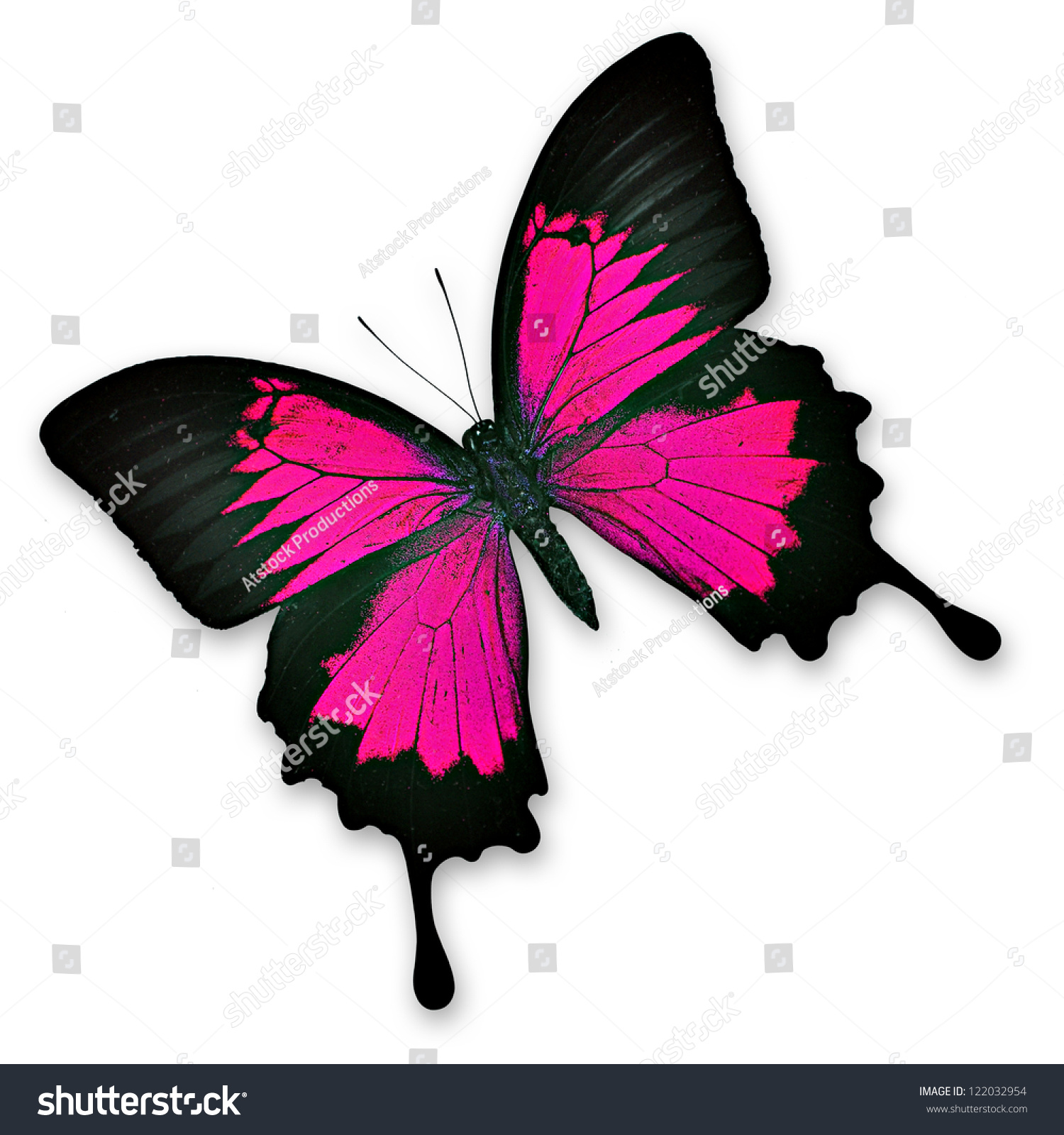Бабочки розовые с черным